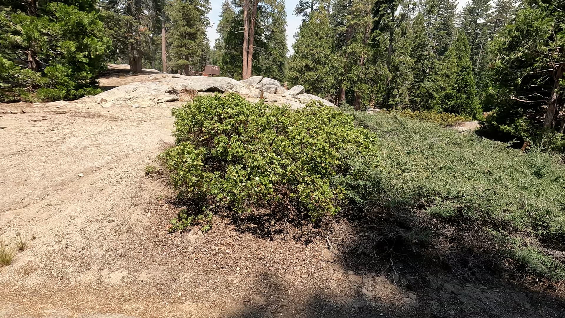 Site 110