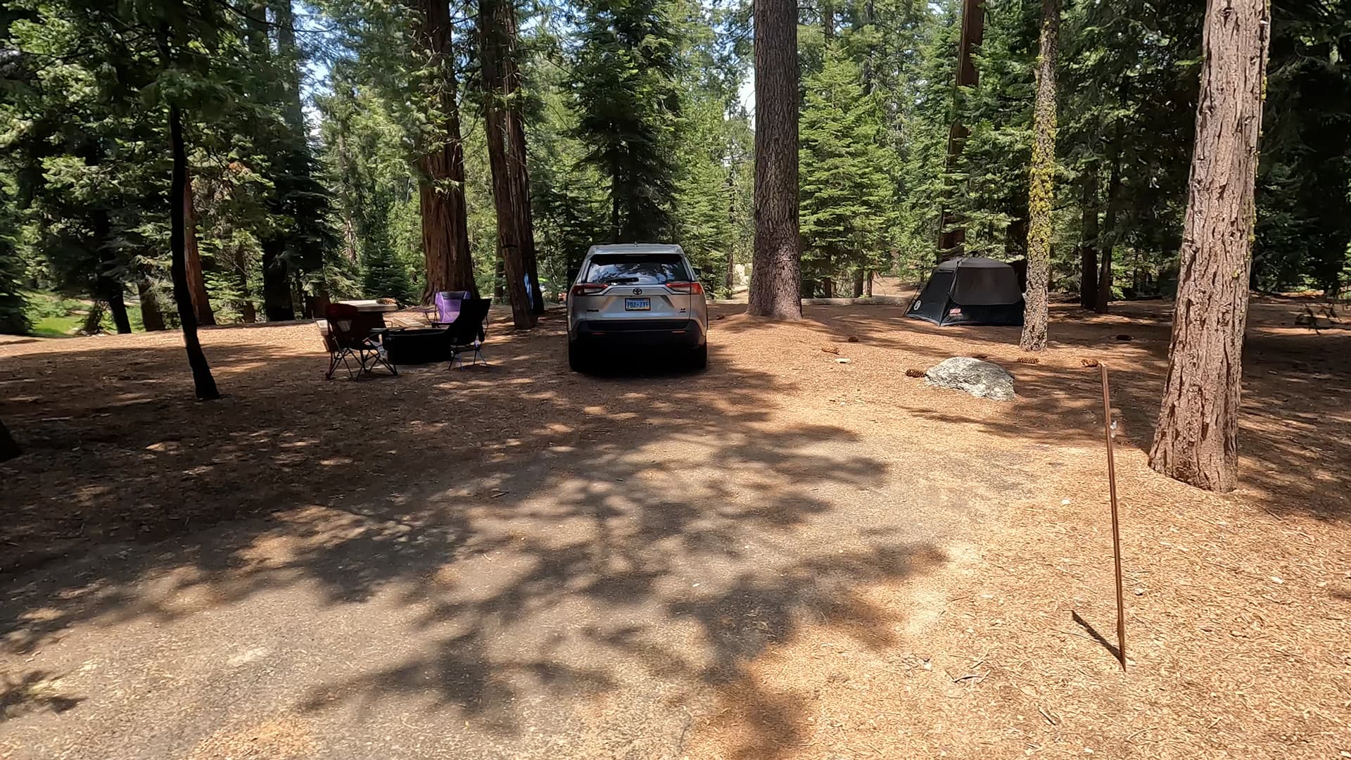 Site 2