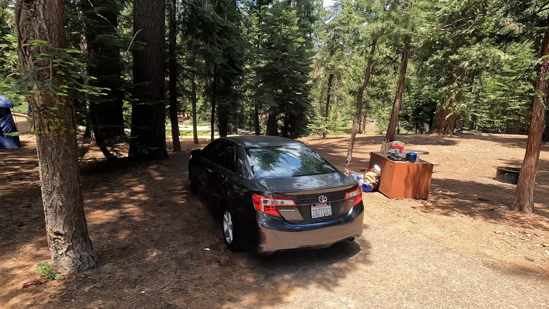Site 3