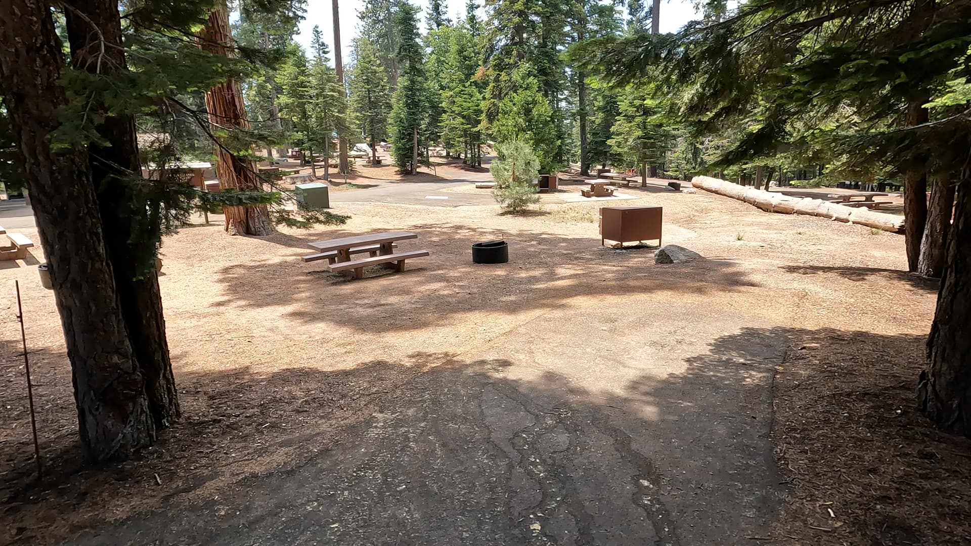 Site 13