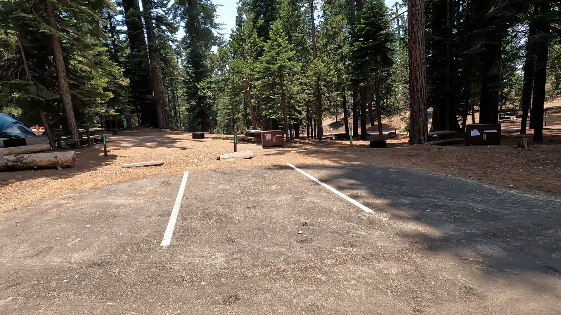 Site 10
