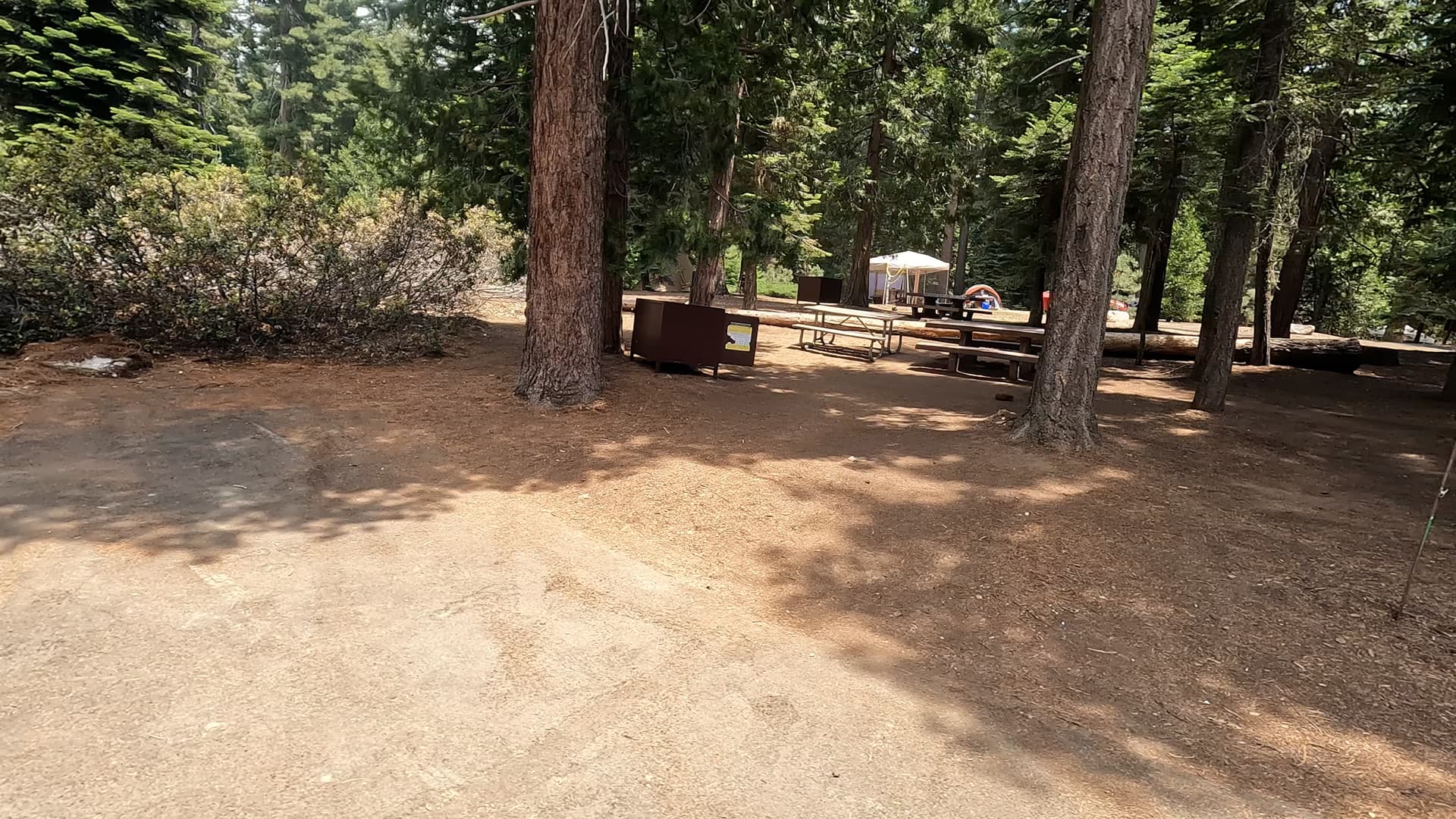 Site 12