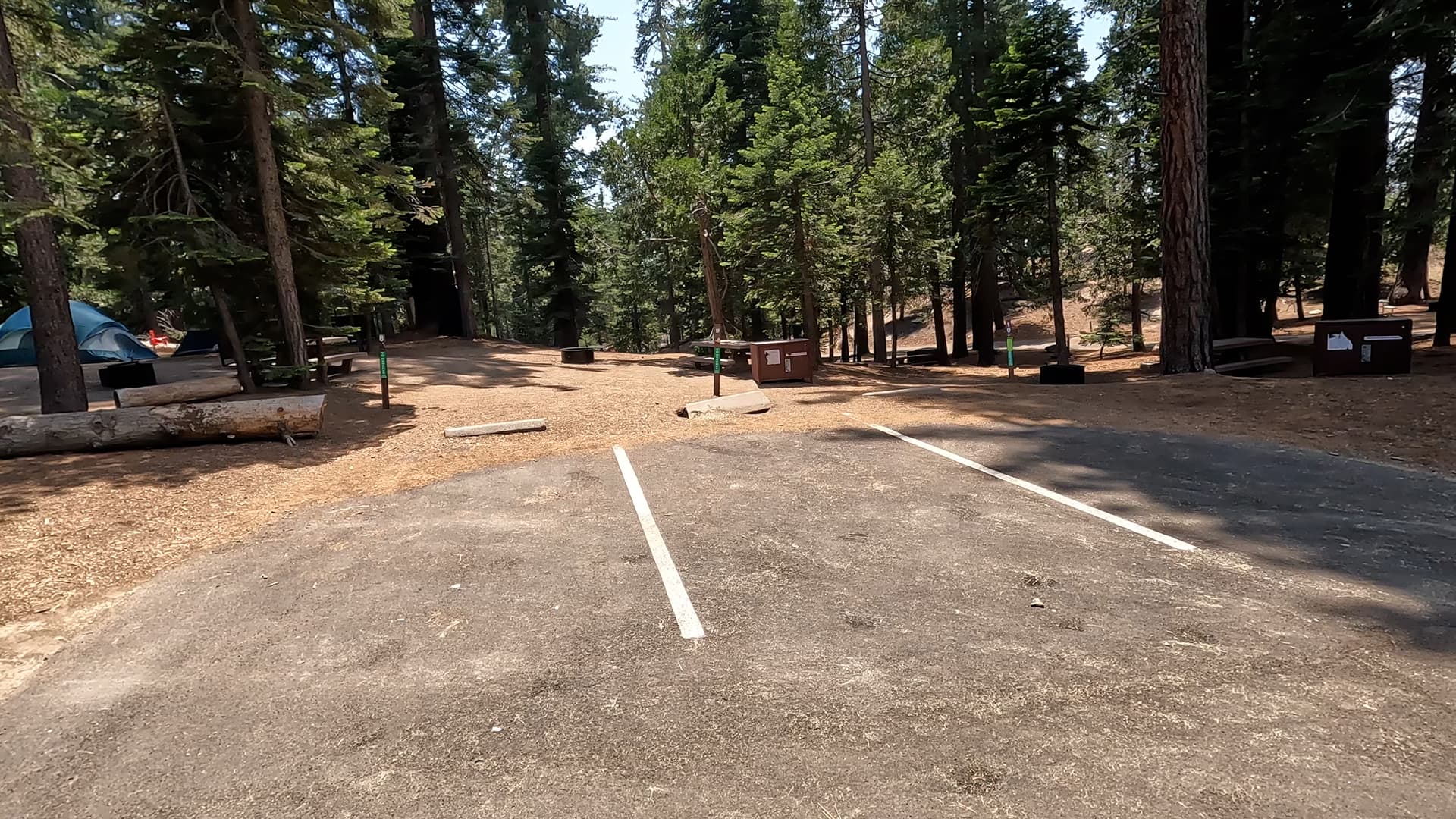 Site 9