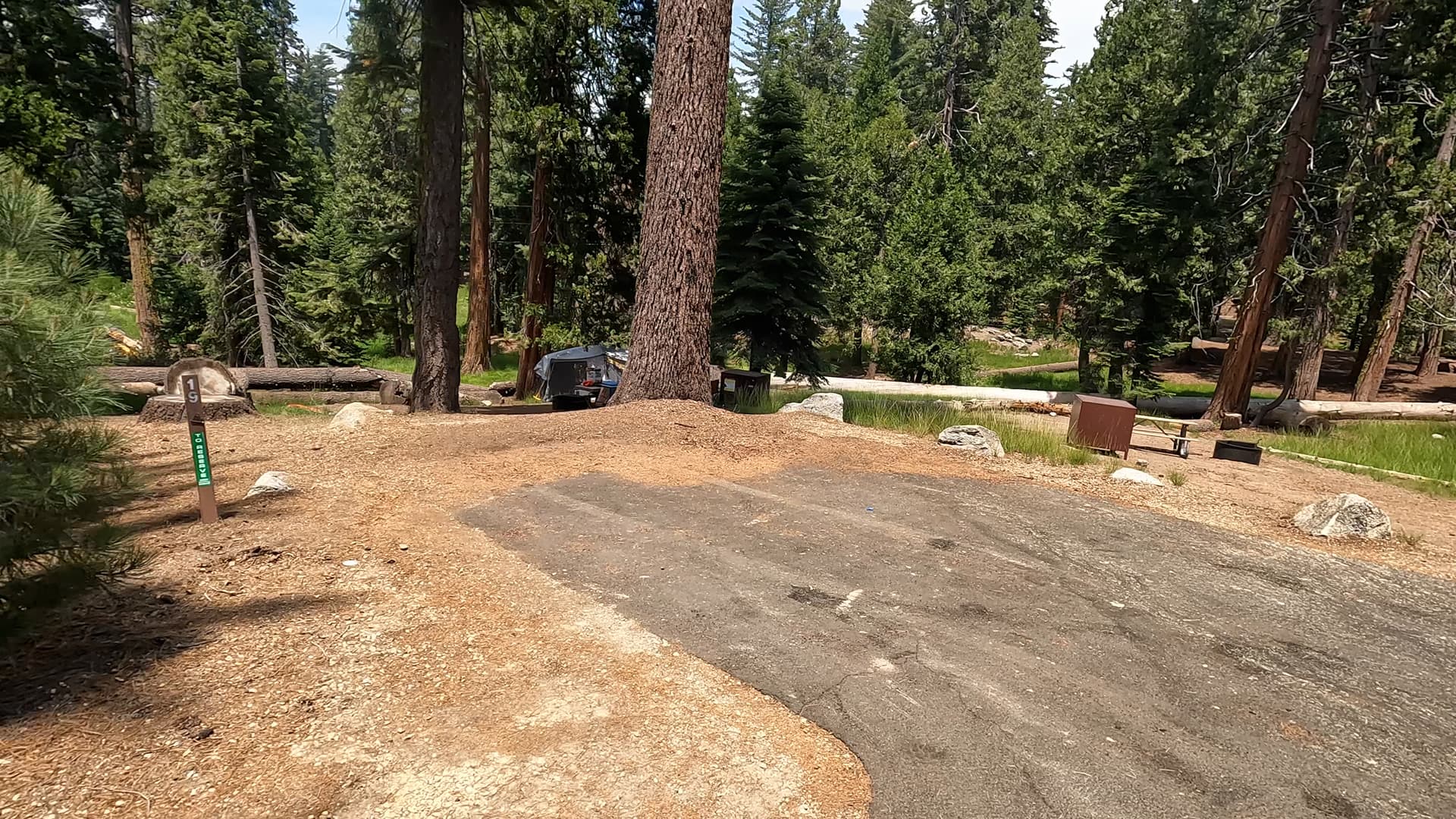 Site 19