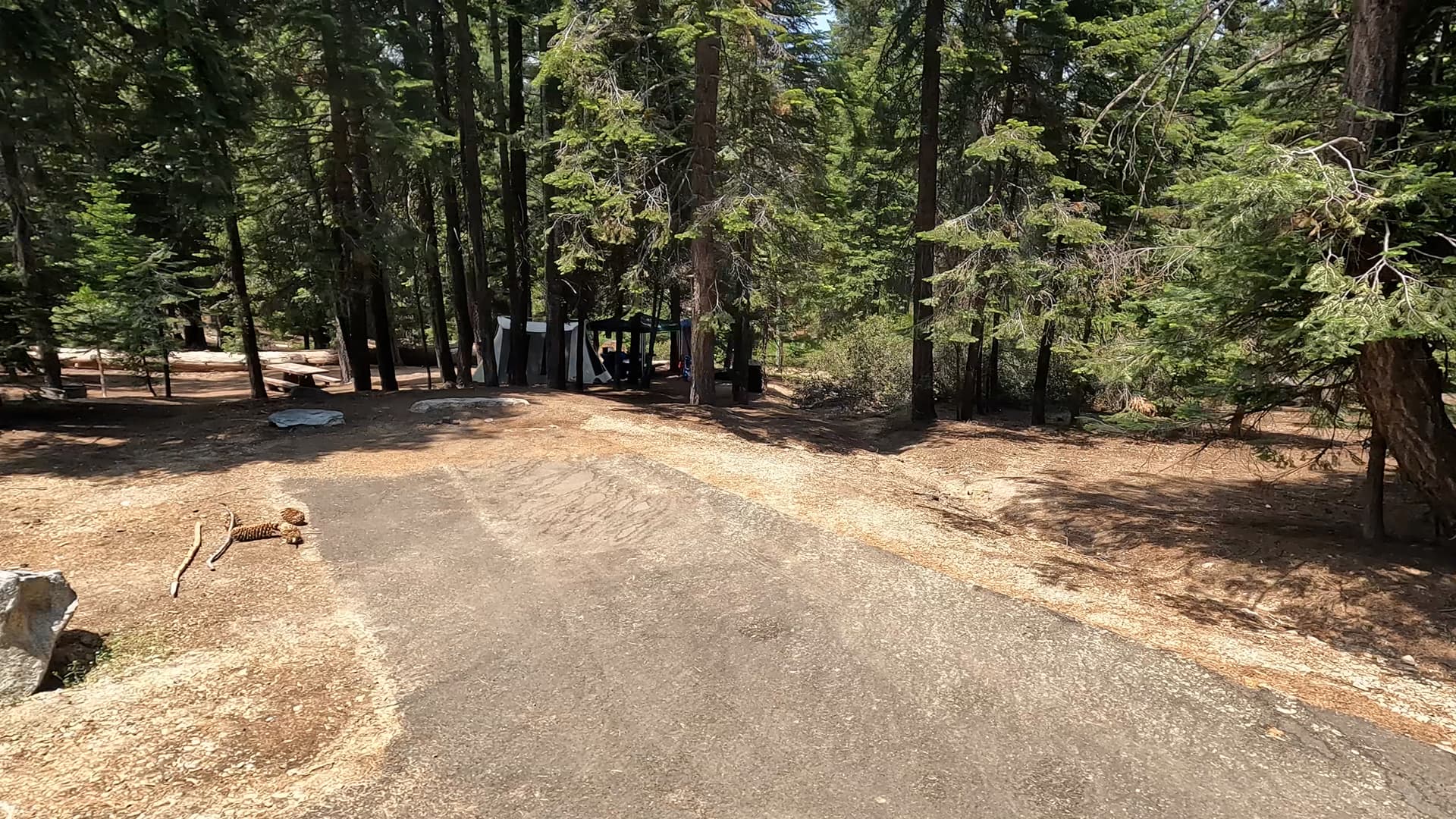 Site 22