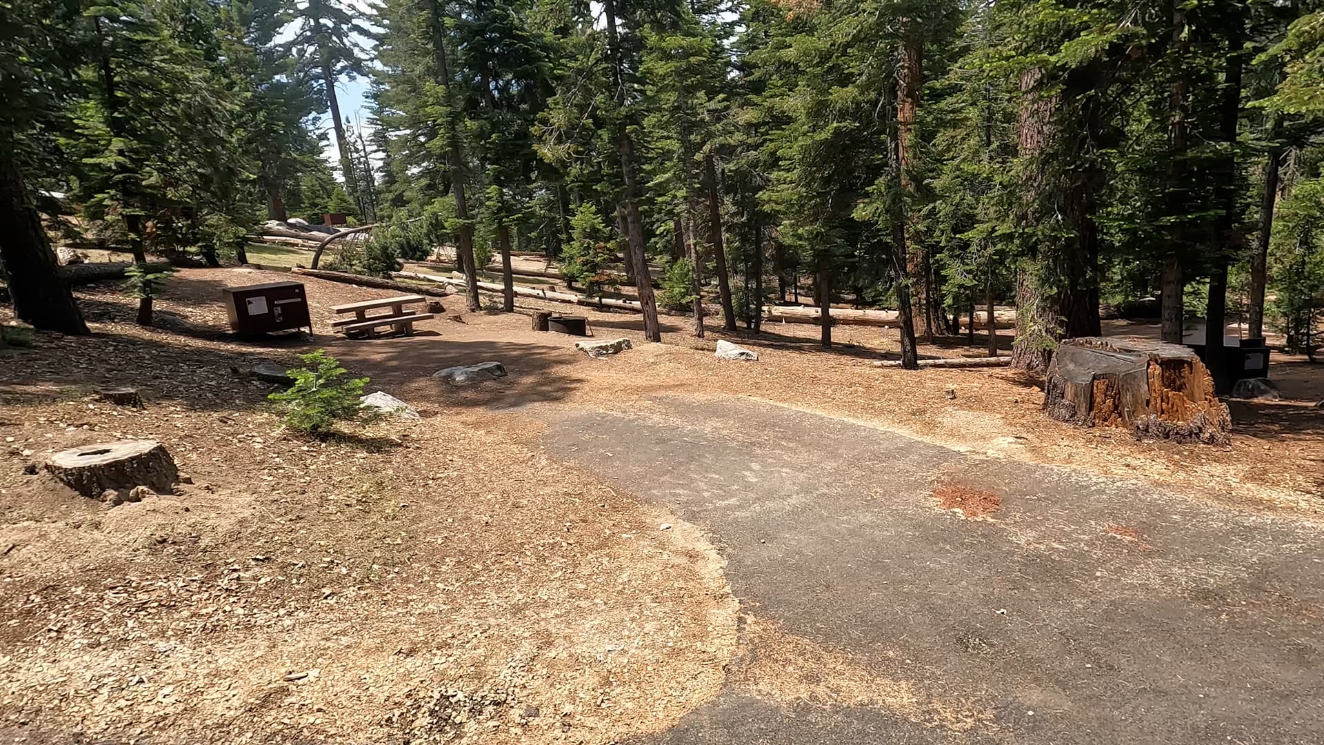 Site 25