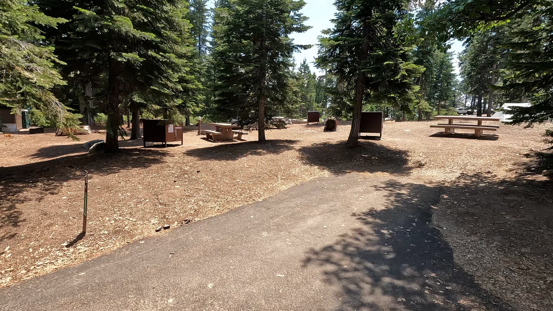 Site 29