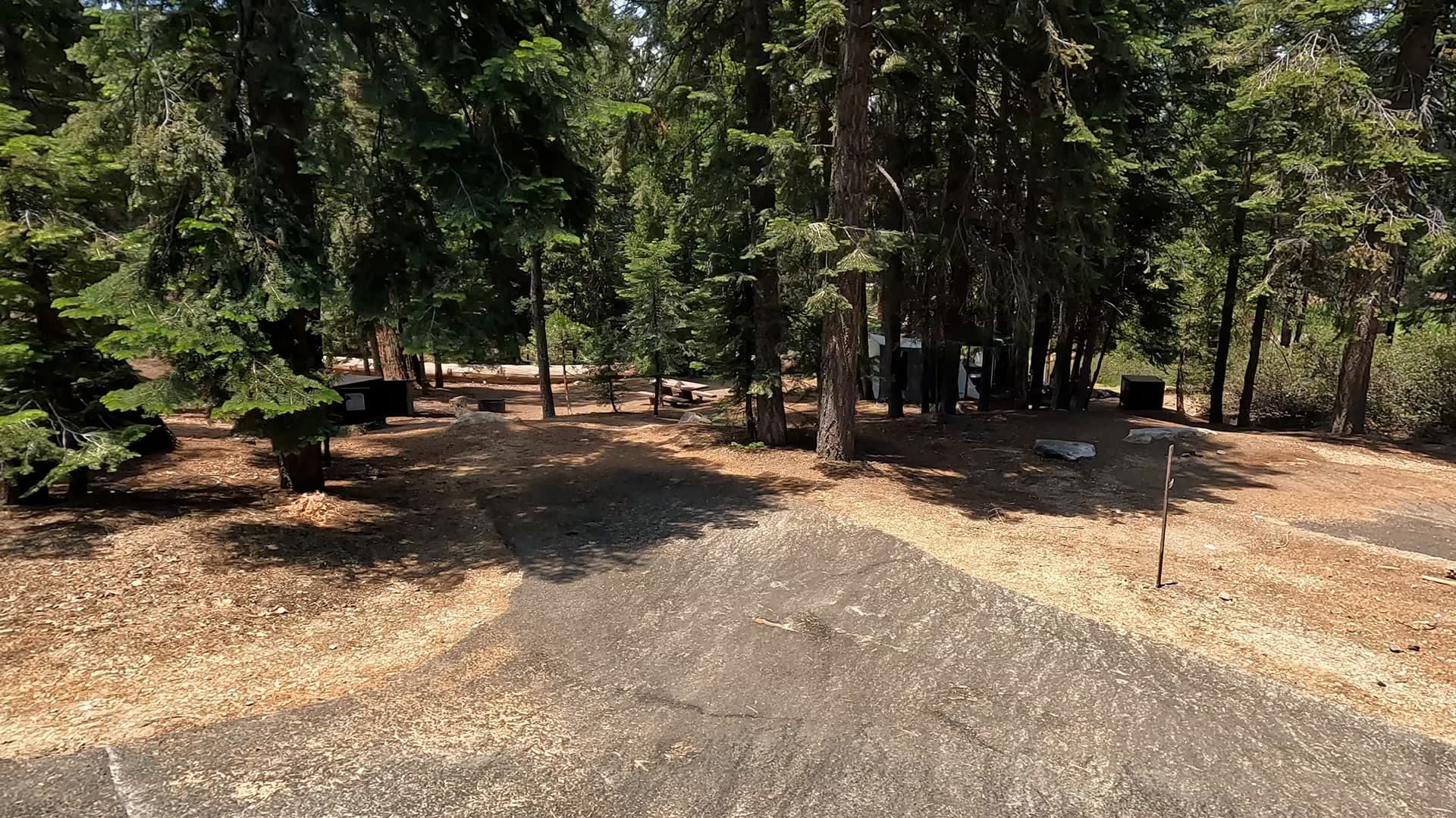 Site 24