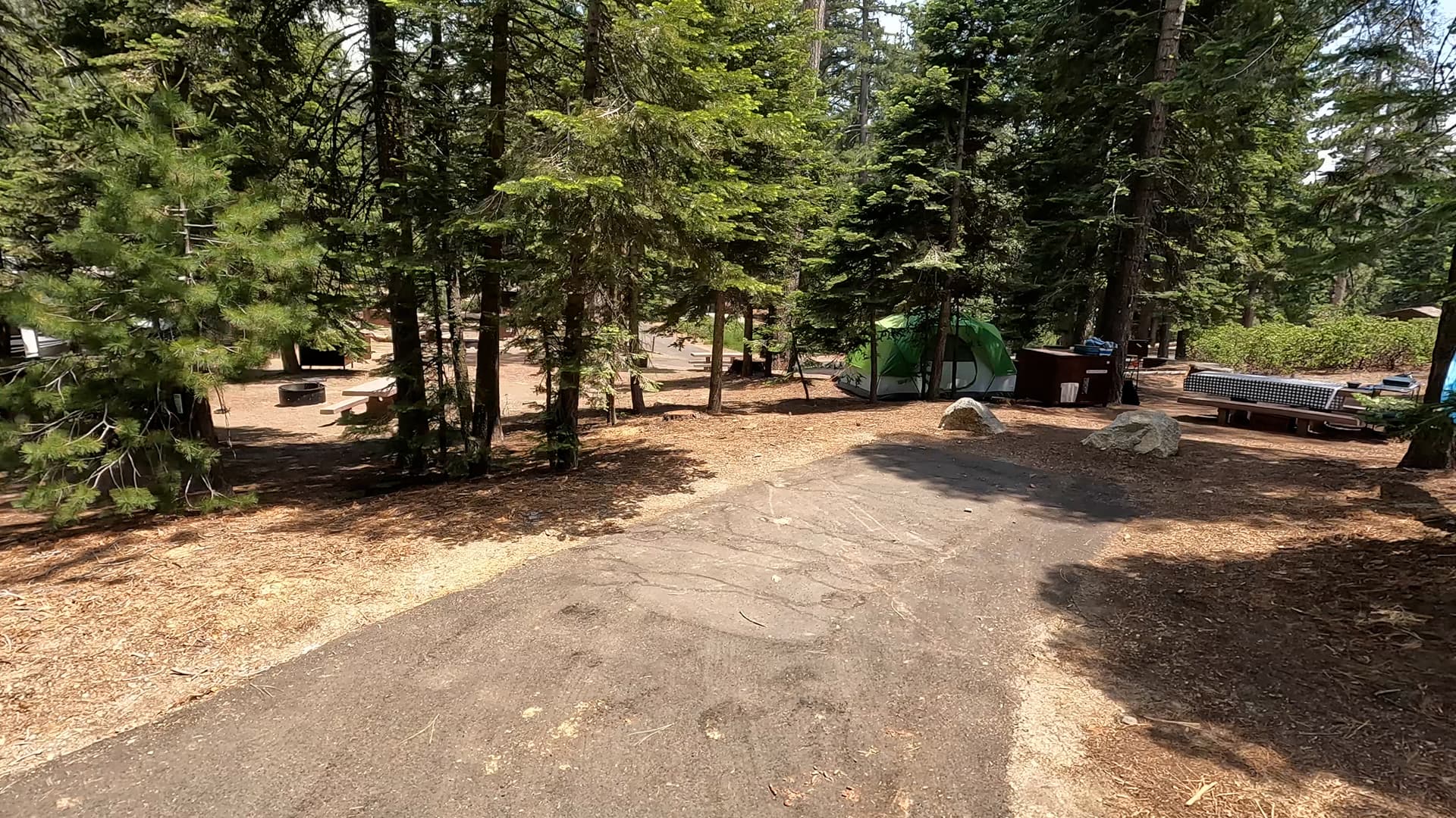Site 36