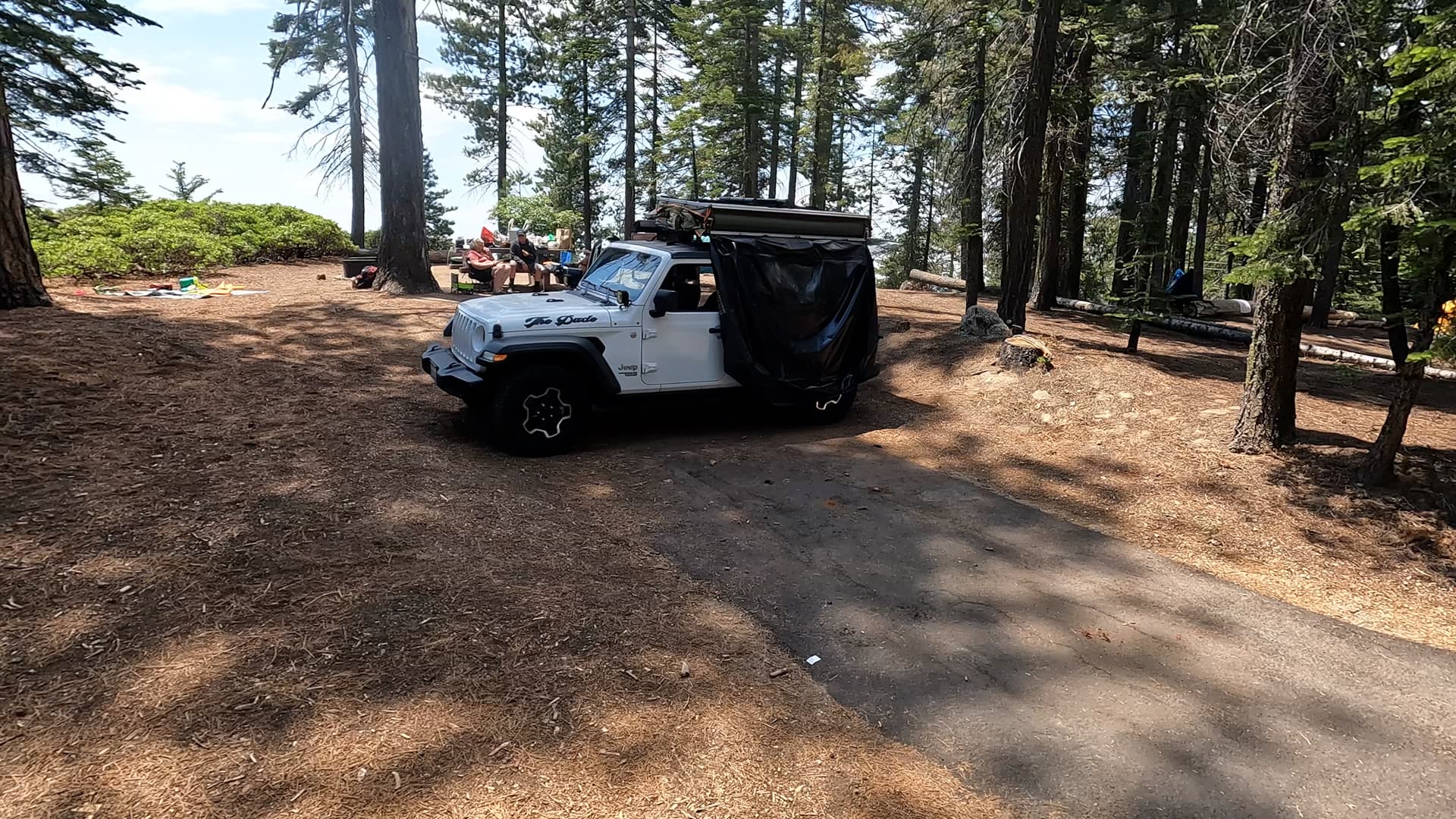 Site 37