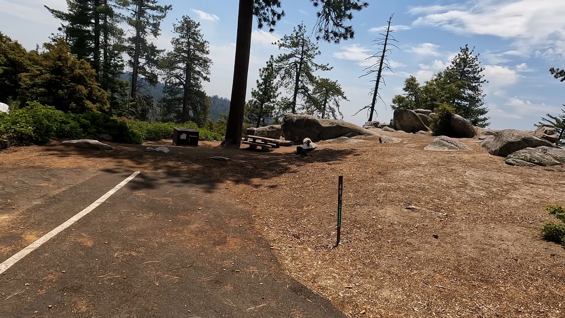 Site 49