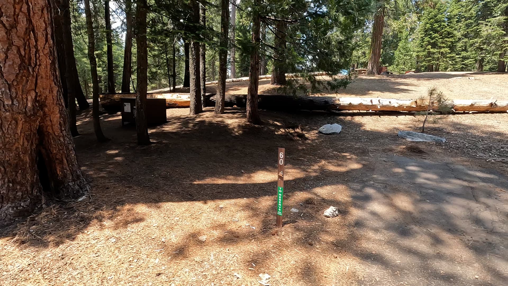 Site 60