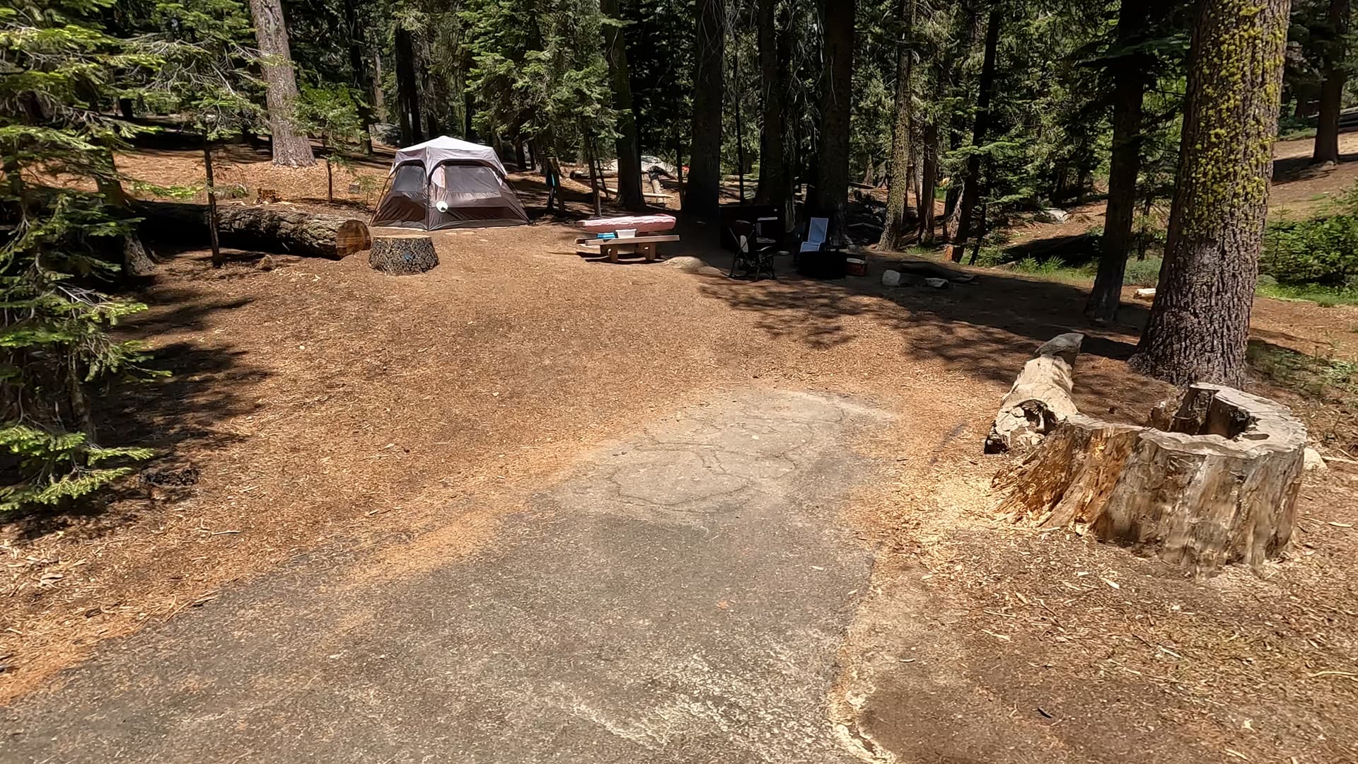 Site 82