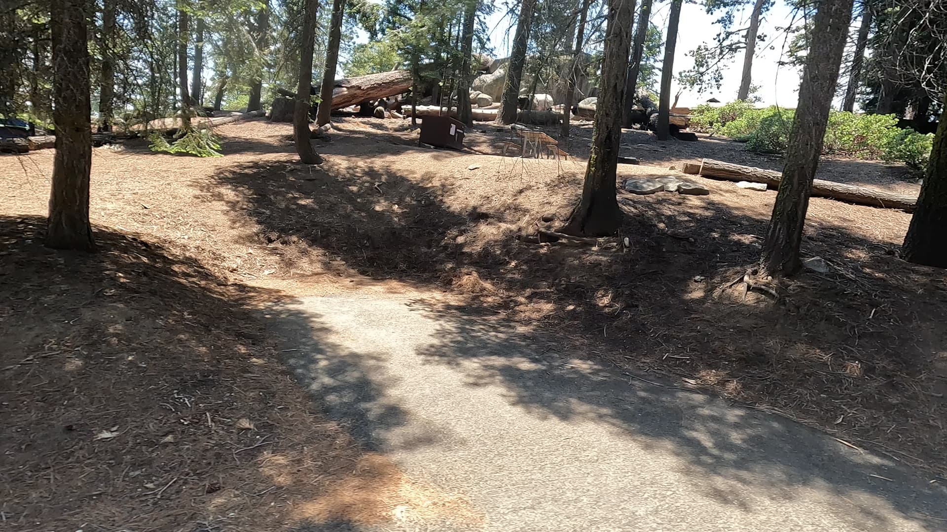 Site 80