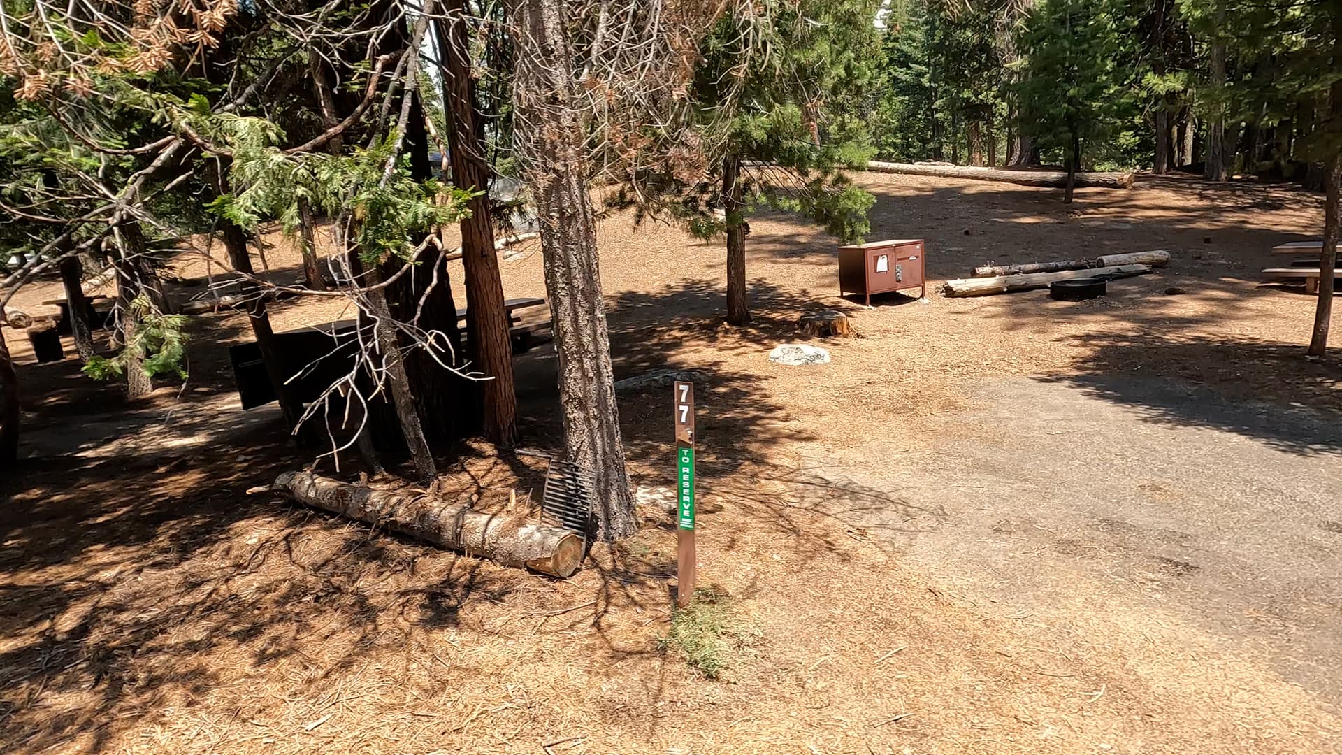 Site 77