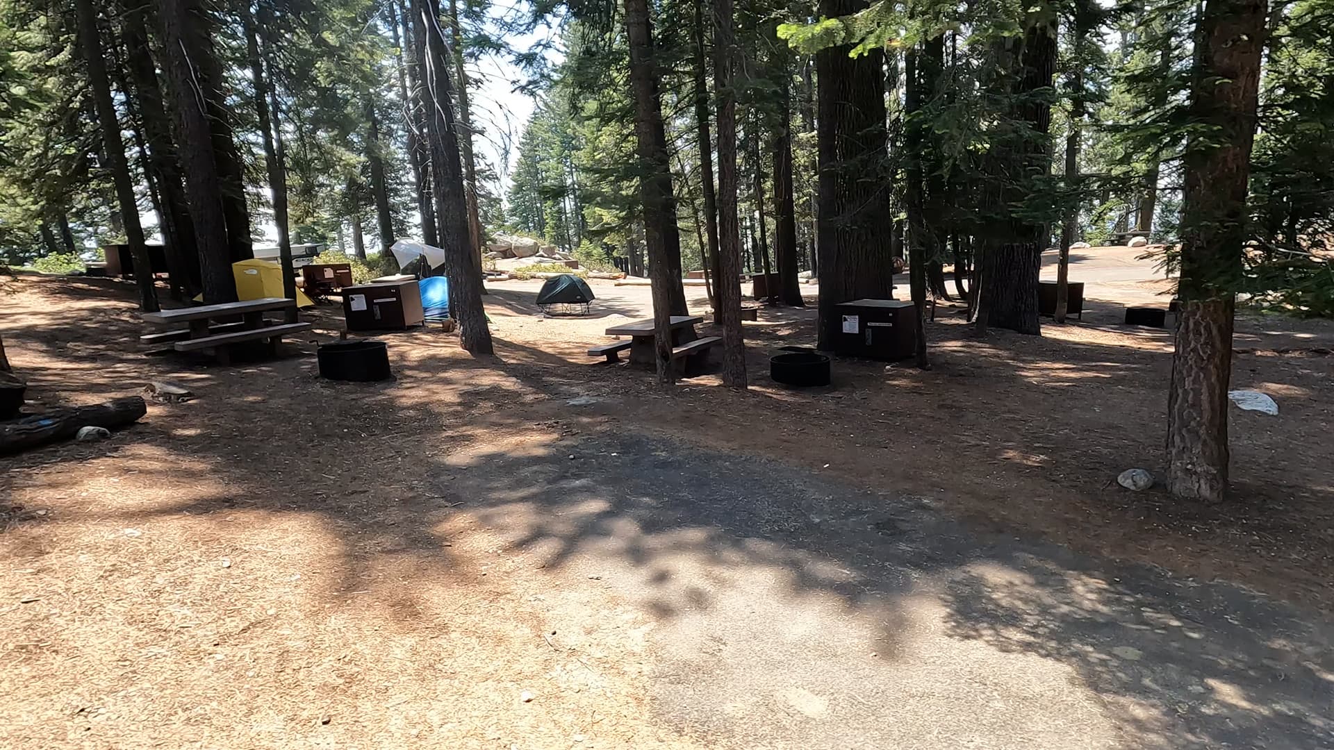 Site 84
