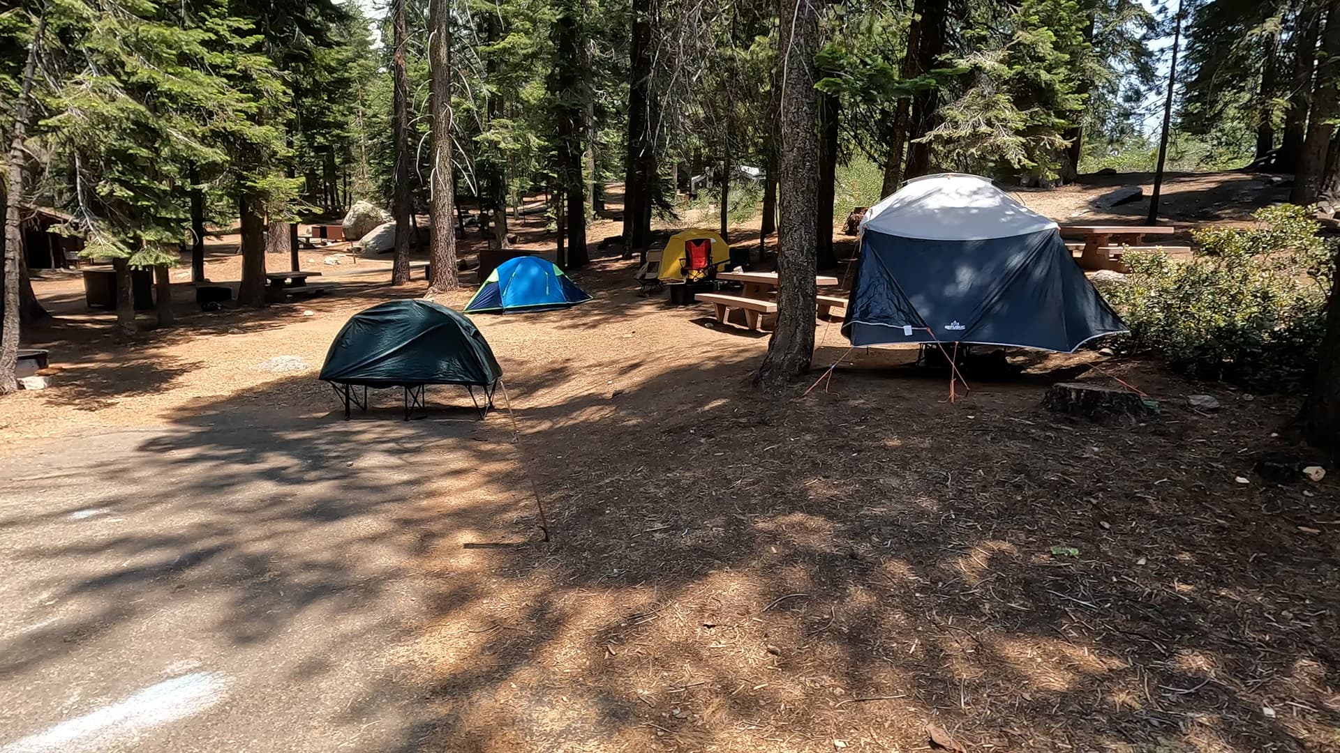 Site 96