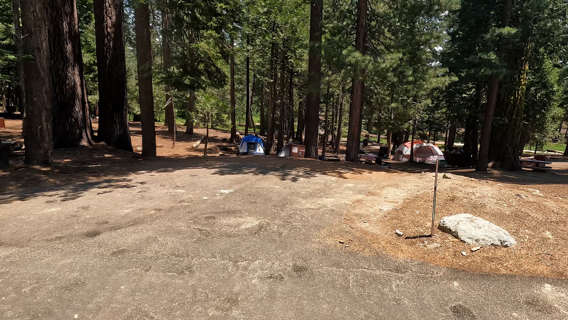 Site 149