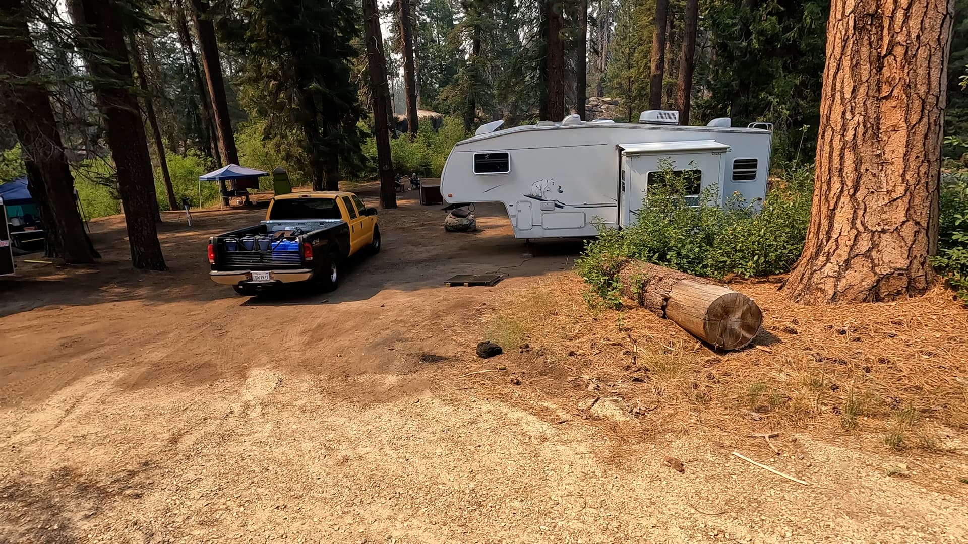 Site 5