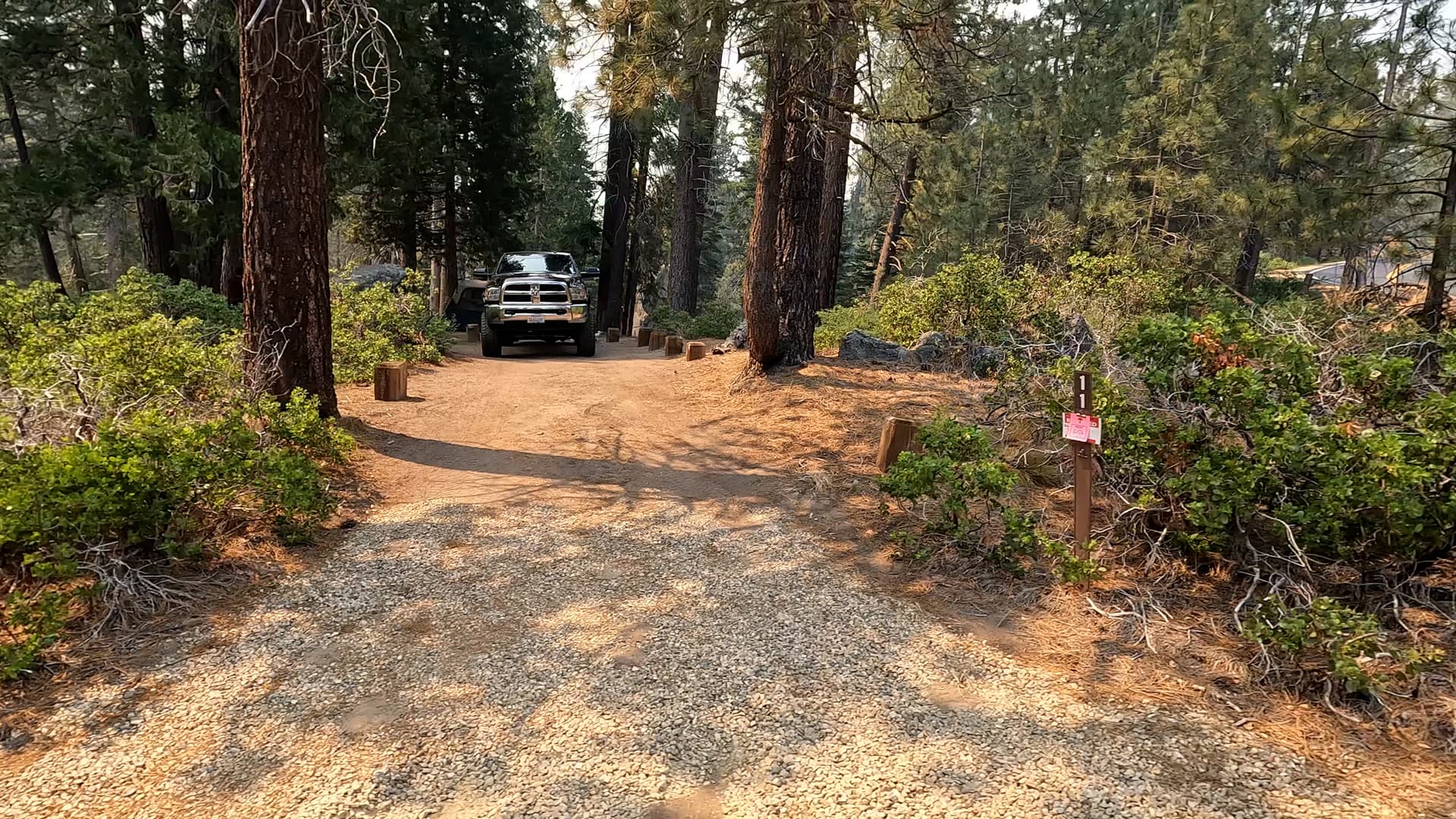 Site 11