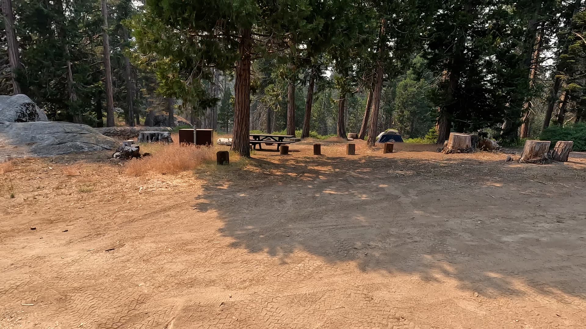 Site 8