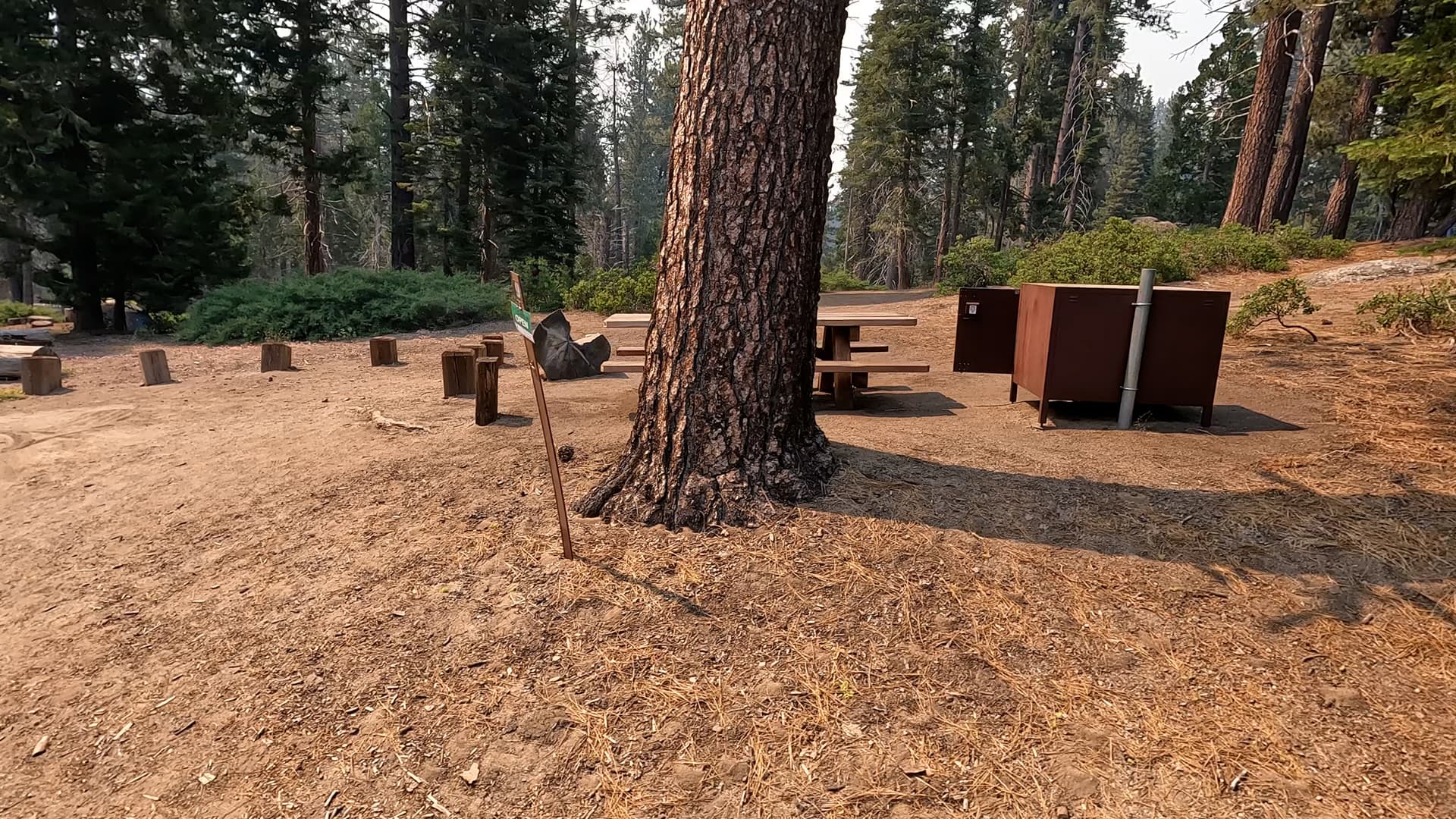 Site 9