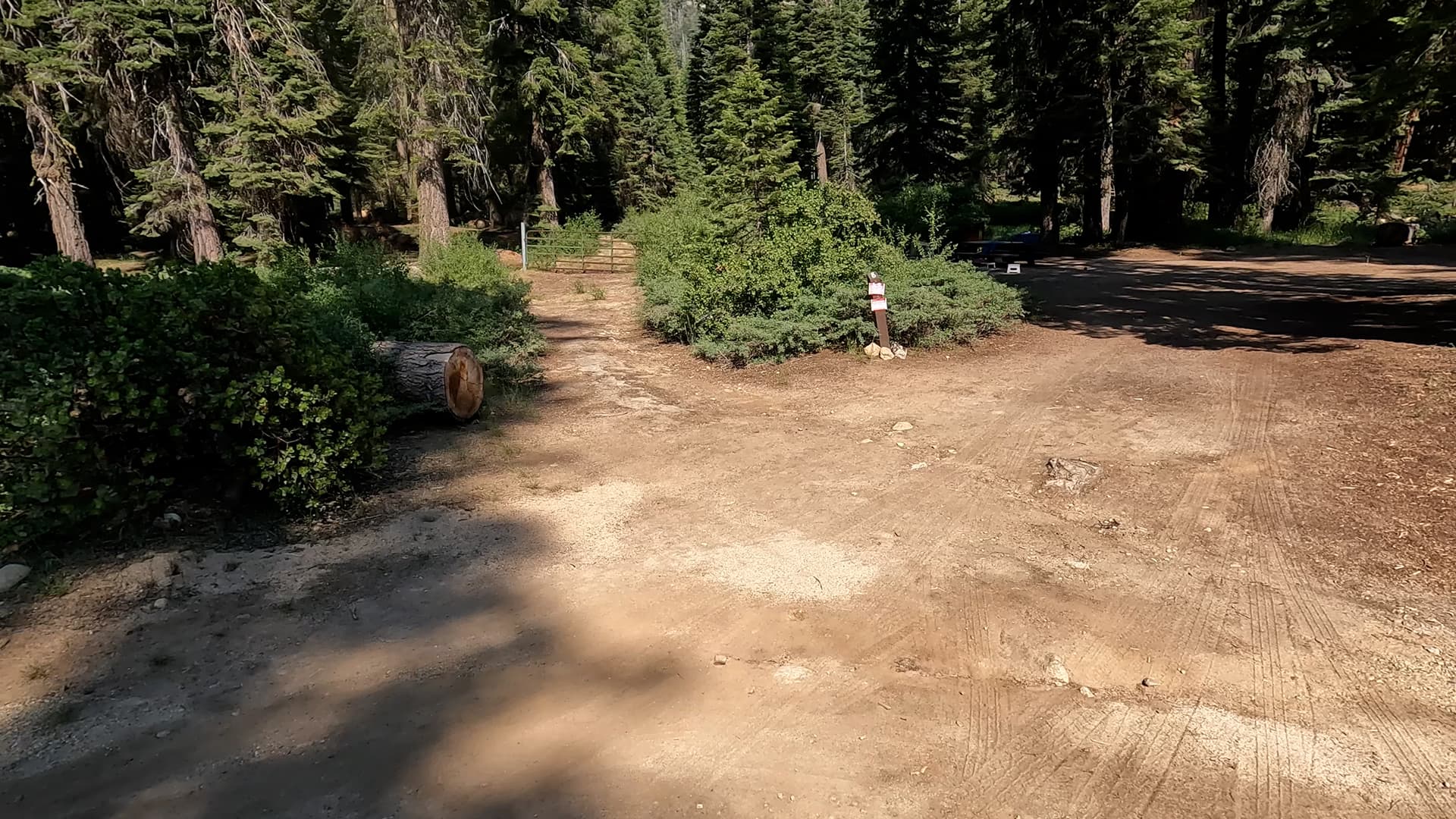 Site 8
