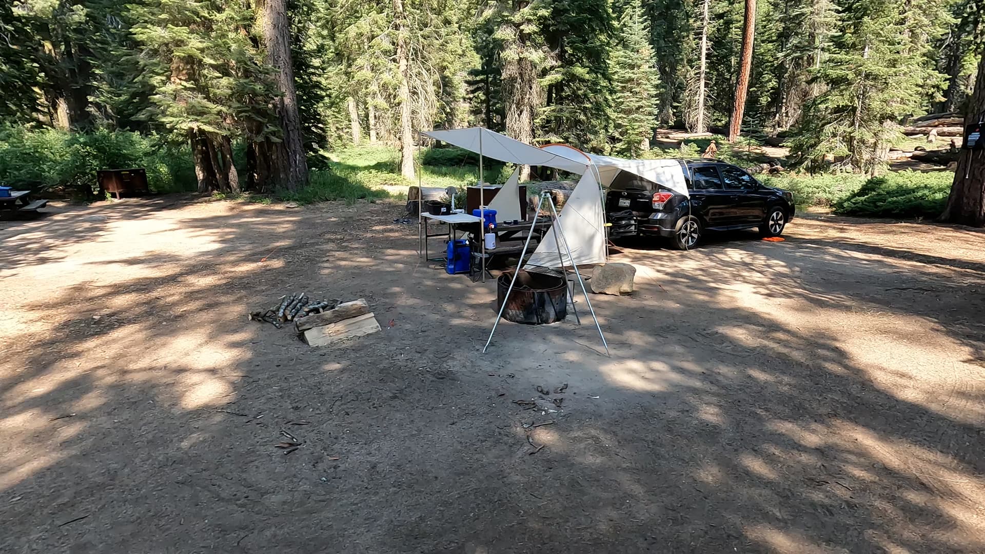 Site 7