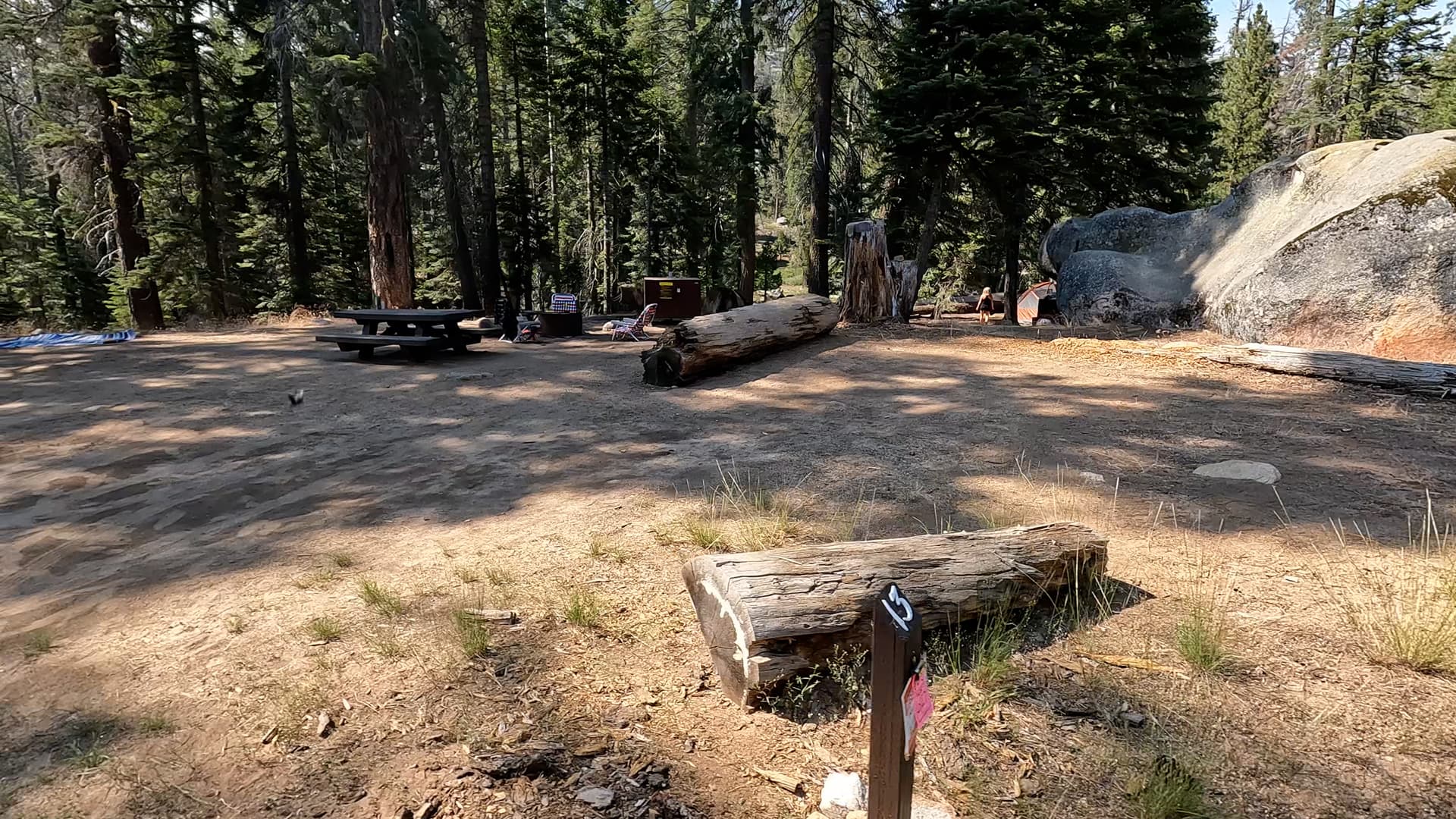 Site 13