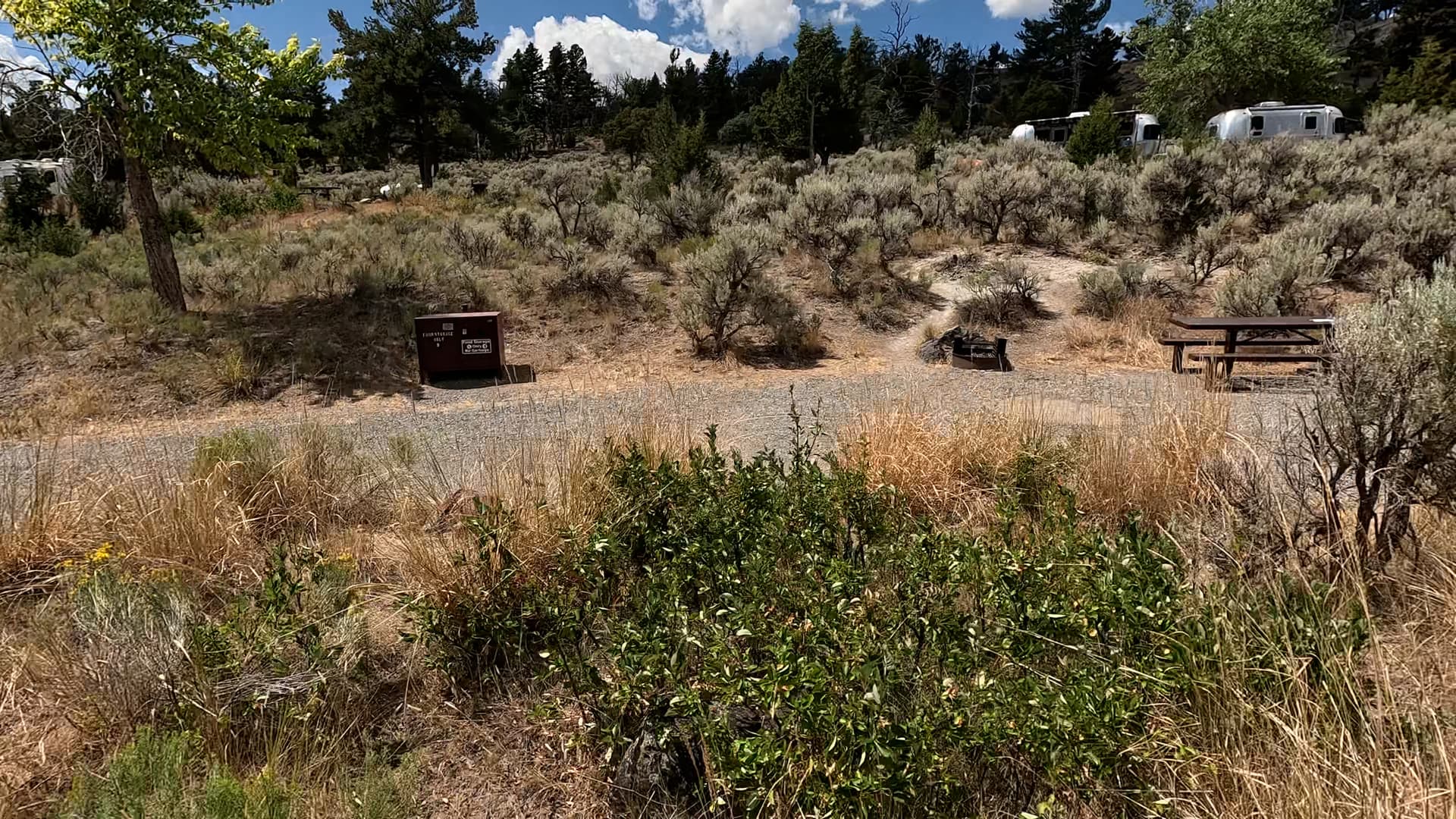 Site 9