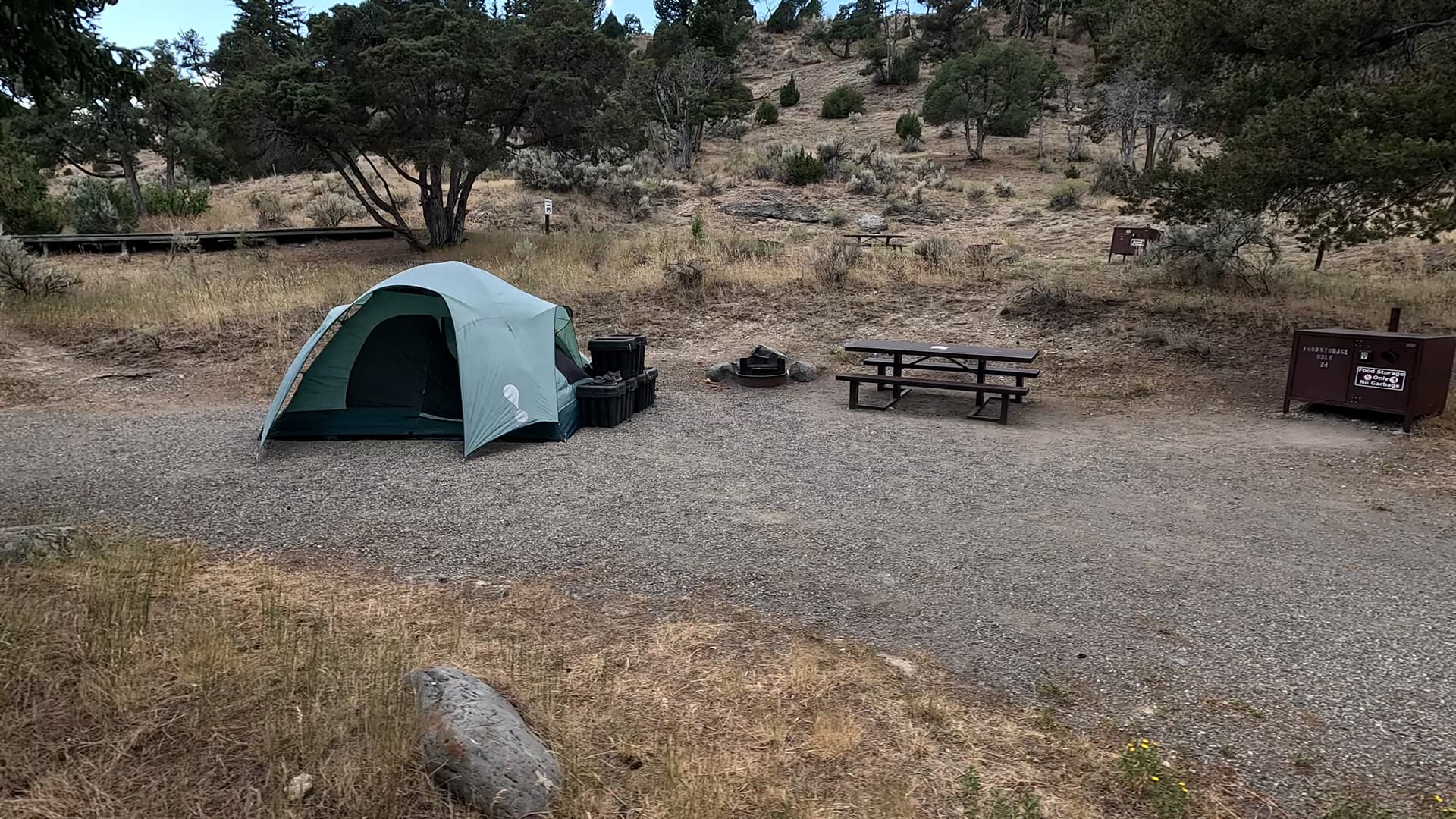 Site 24