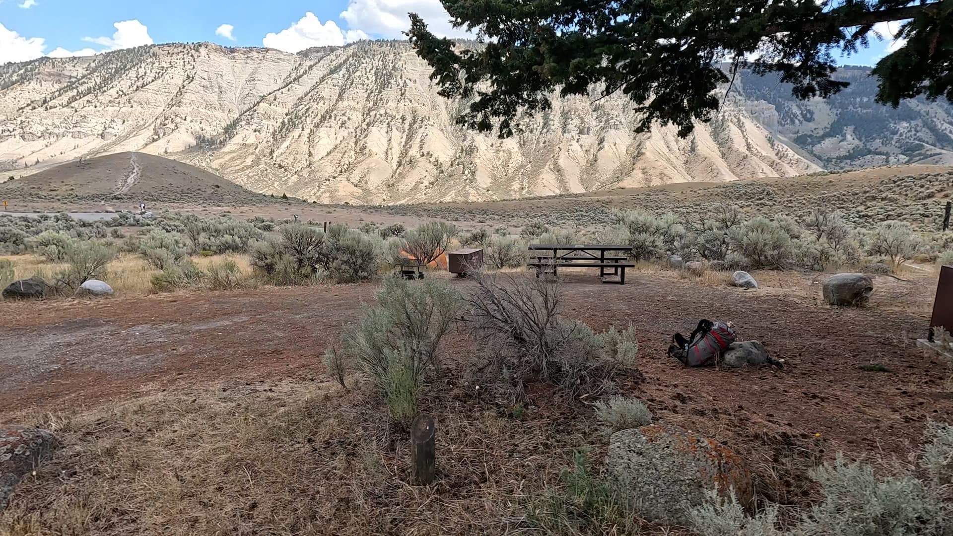 Site 29