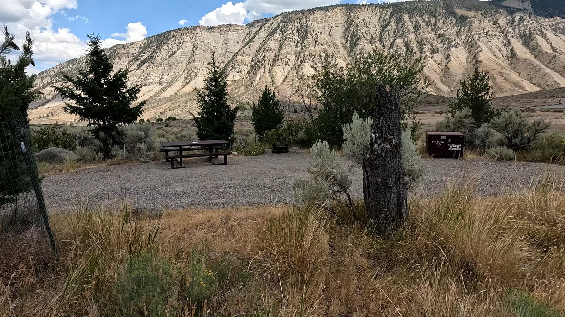 Site 44
