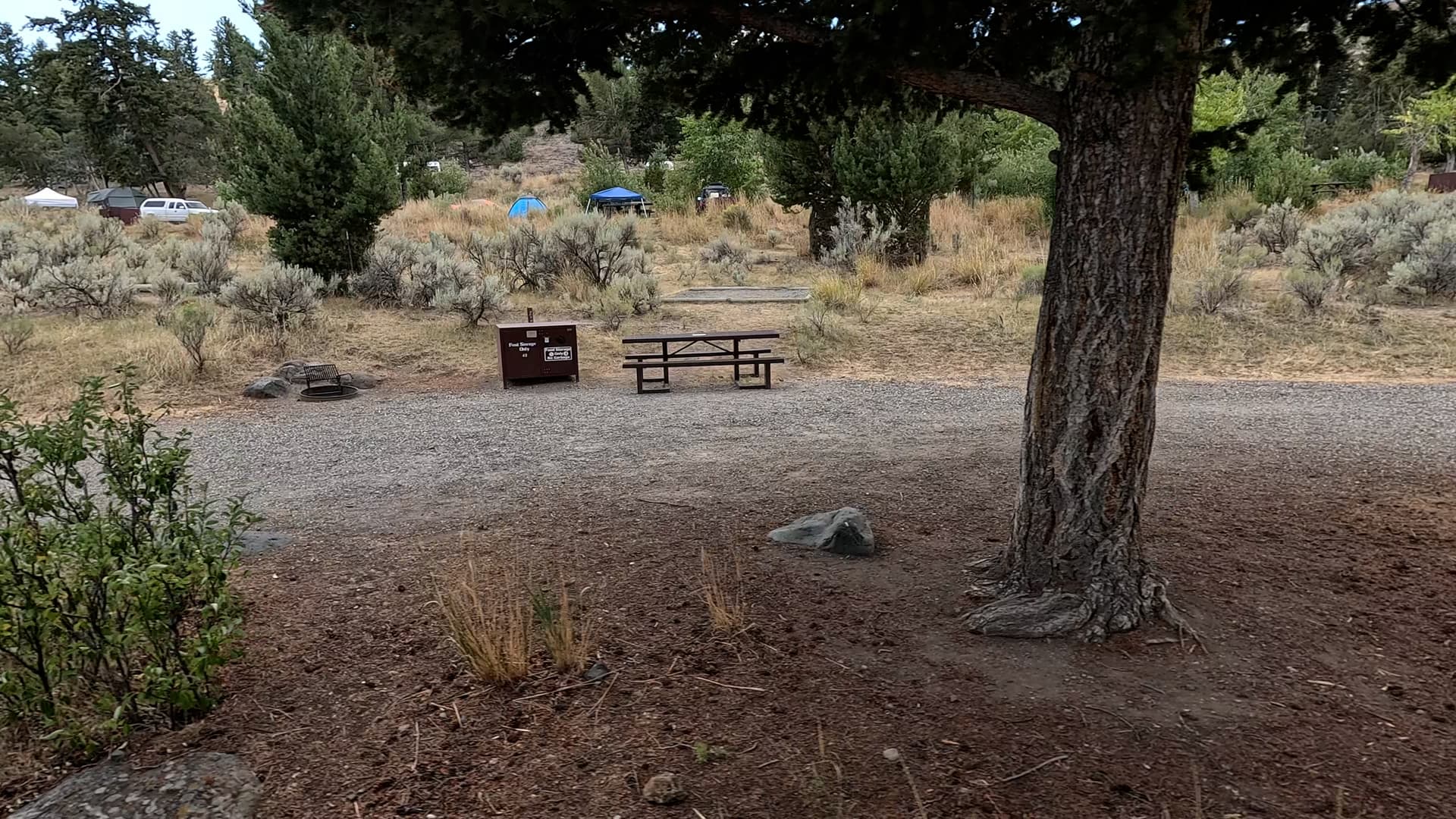 Site 40