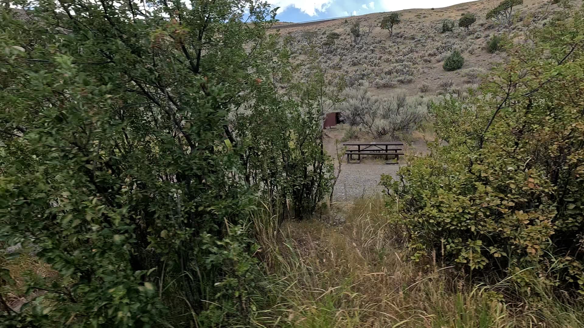 Site 49