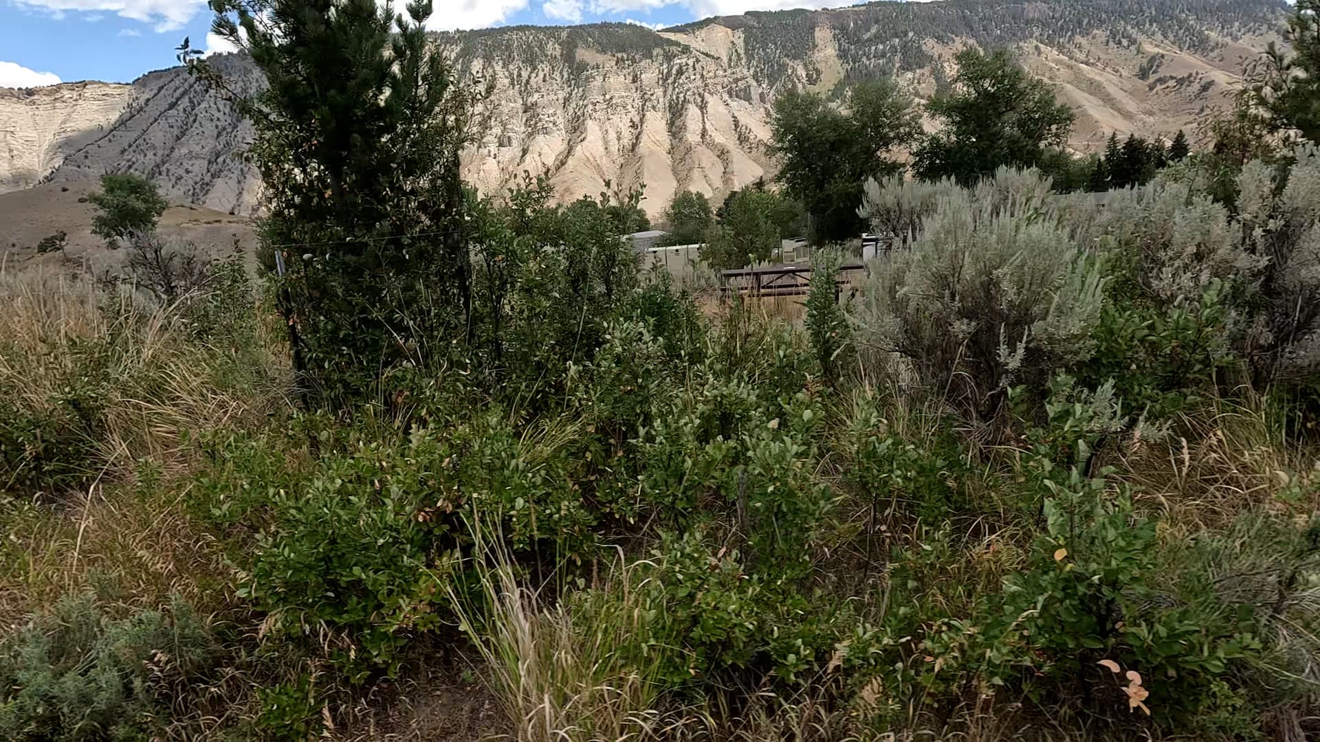 Site 67