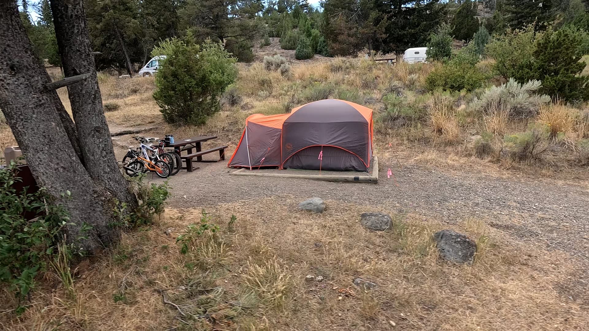 Site 78