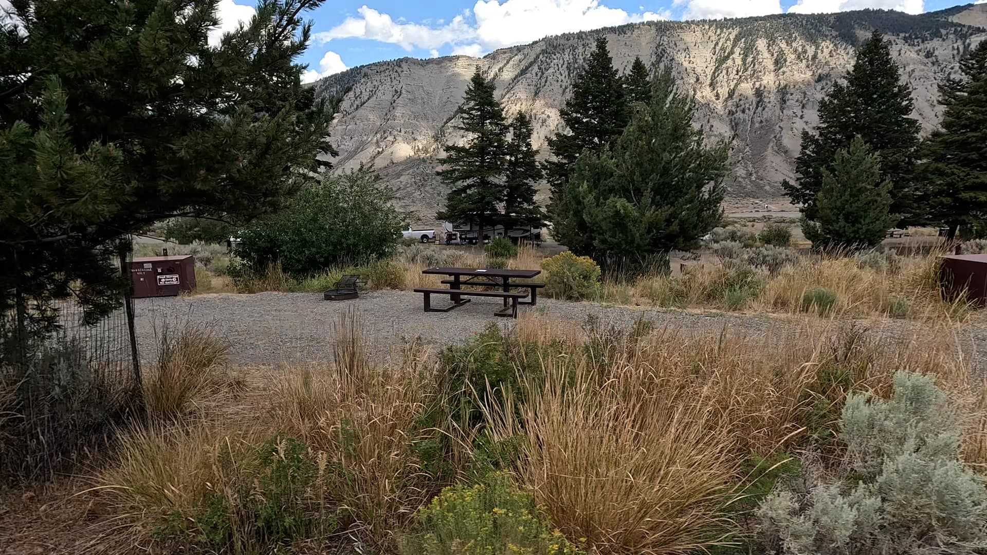 Site 81