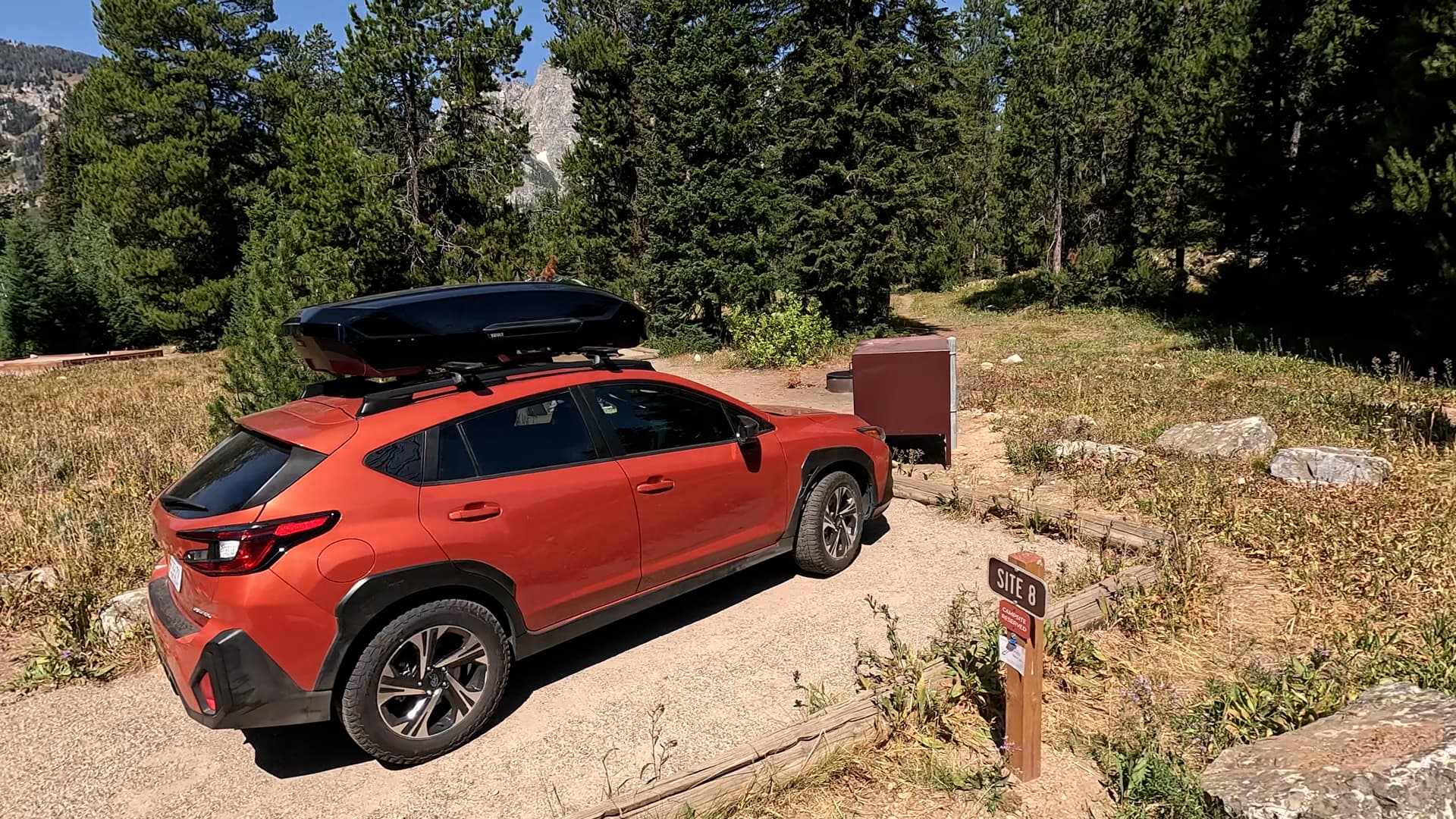Site 8