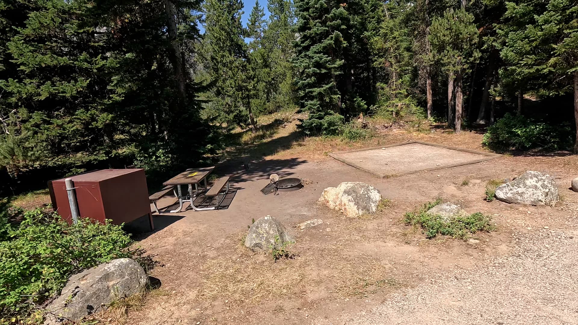 Site 11