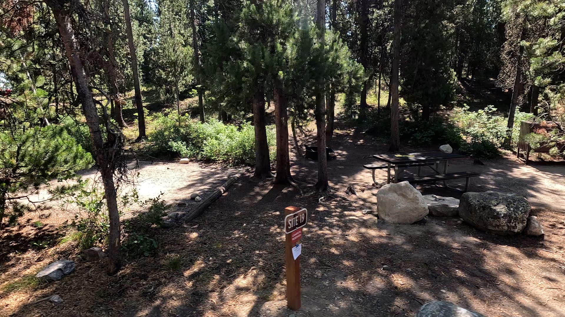 Site 19