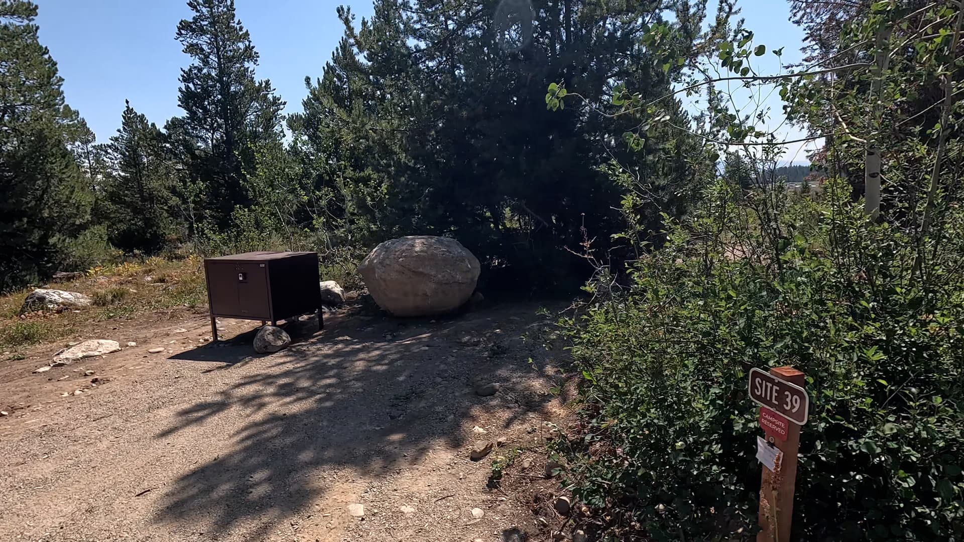 Site 39