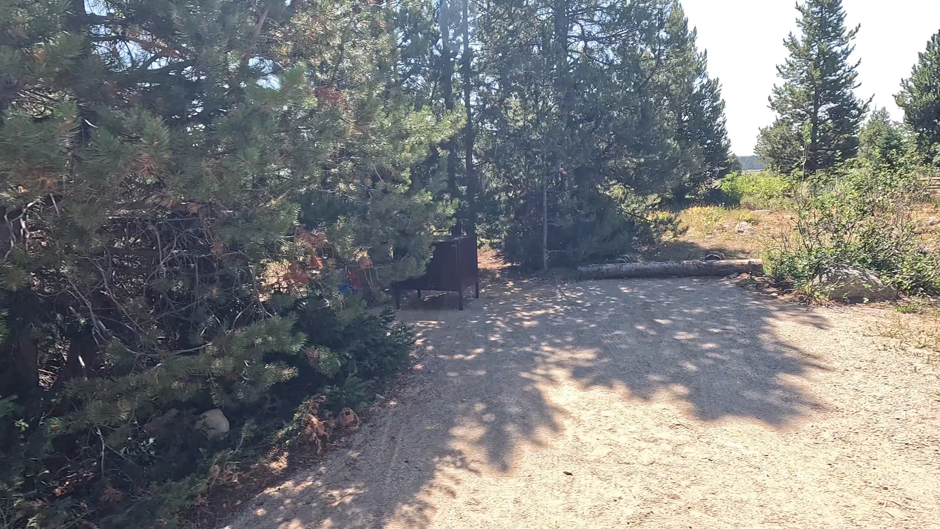 Site 38