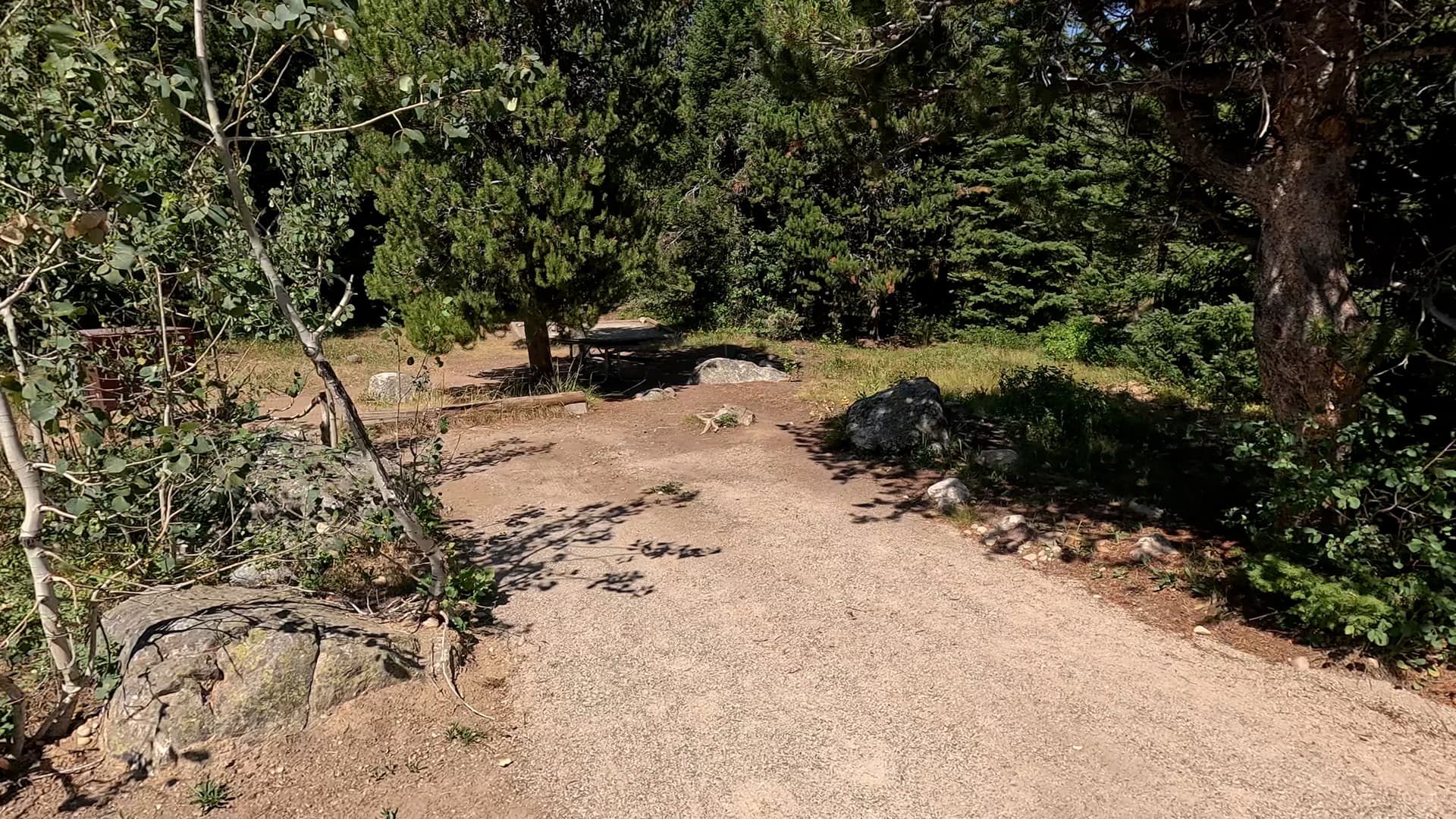 Site 40