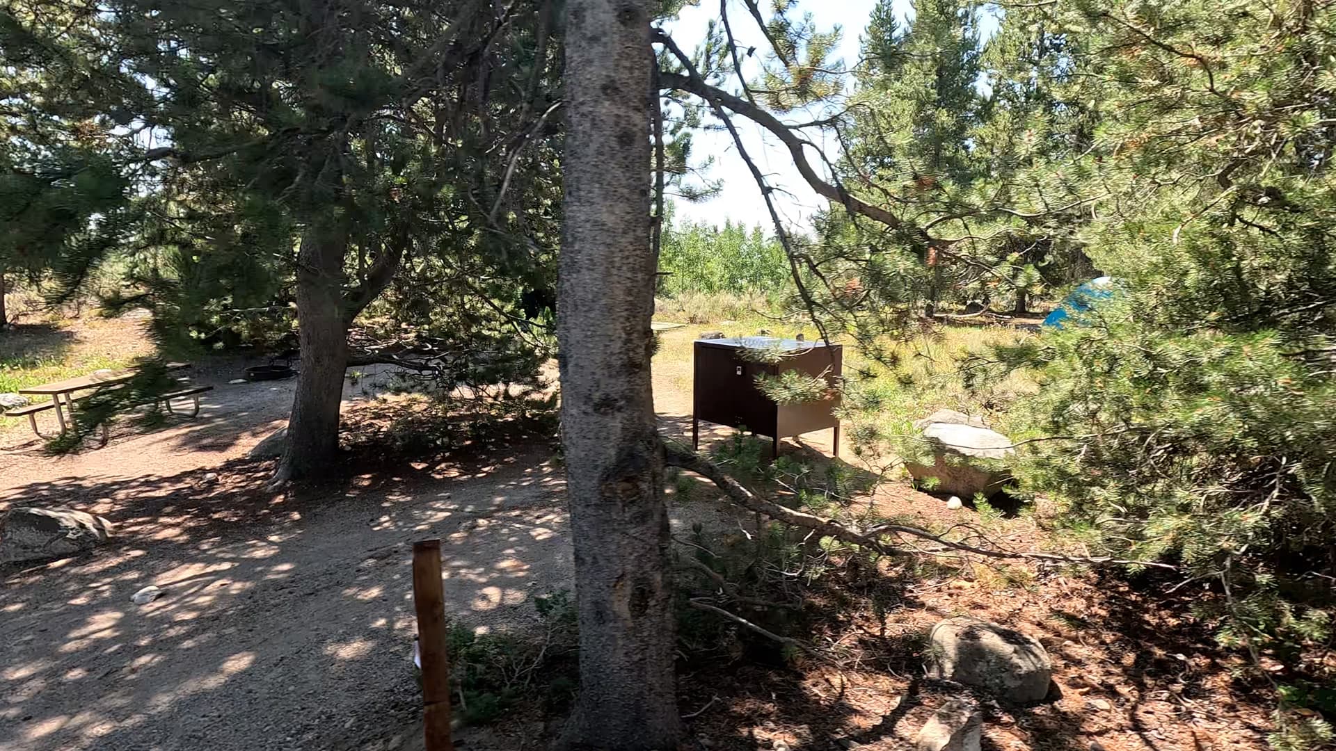 Site 43