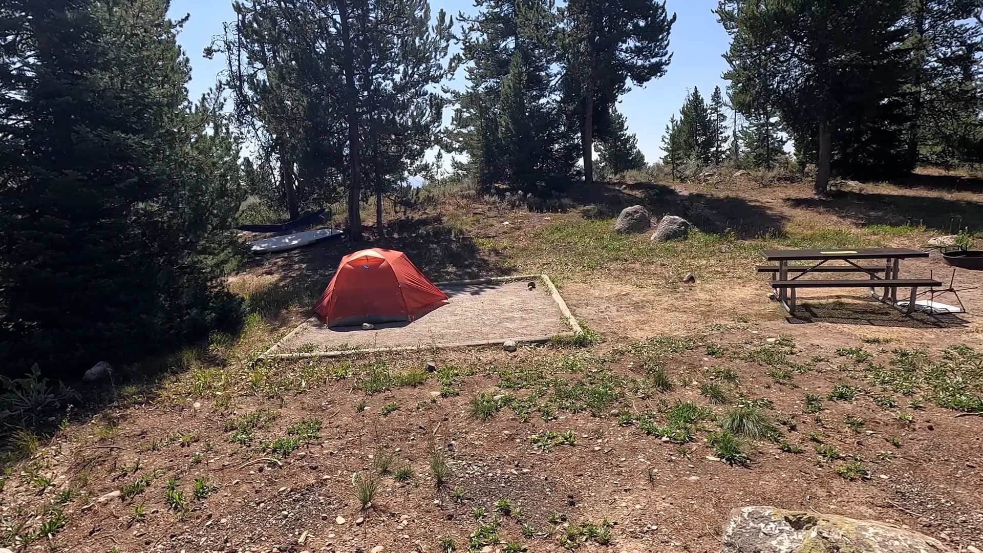 Site 42