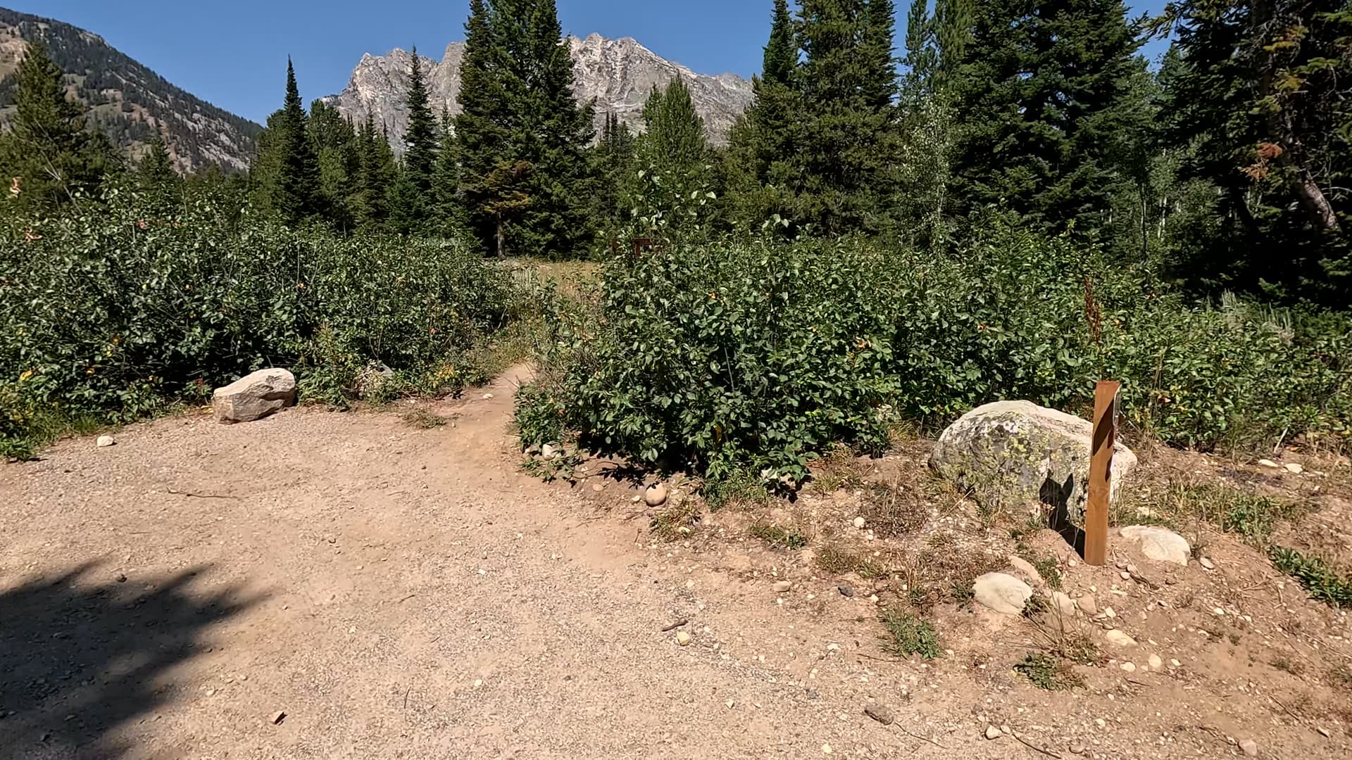 Site 45