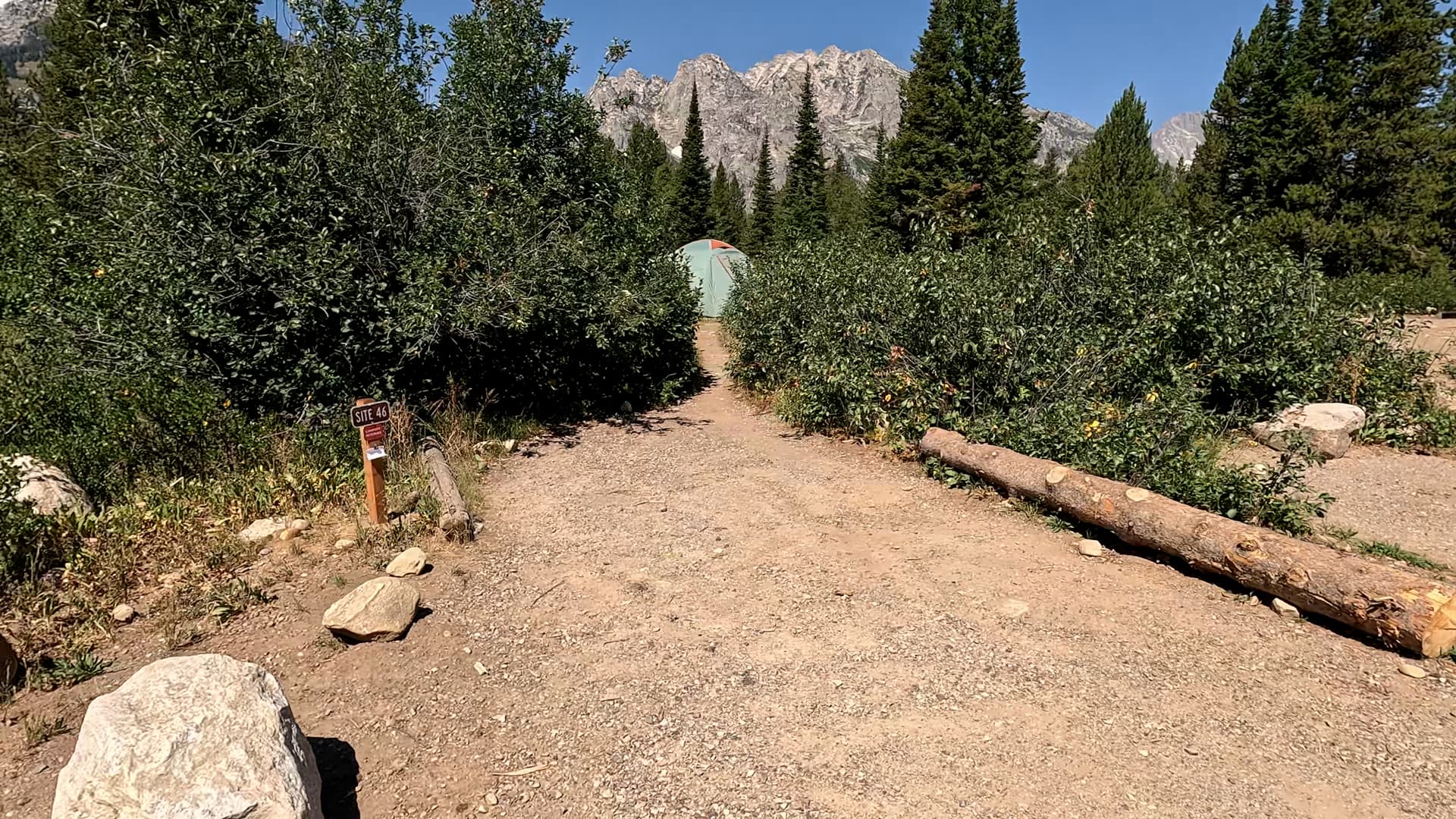Site 46