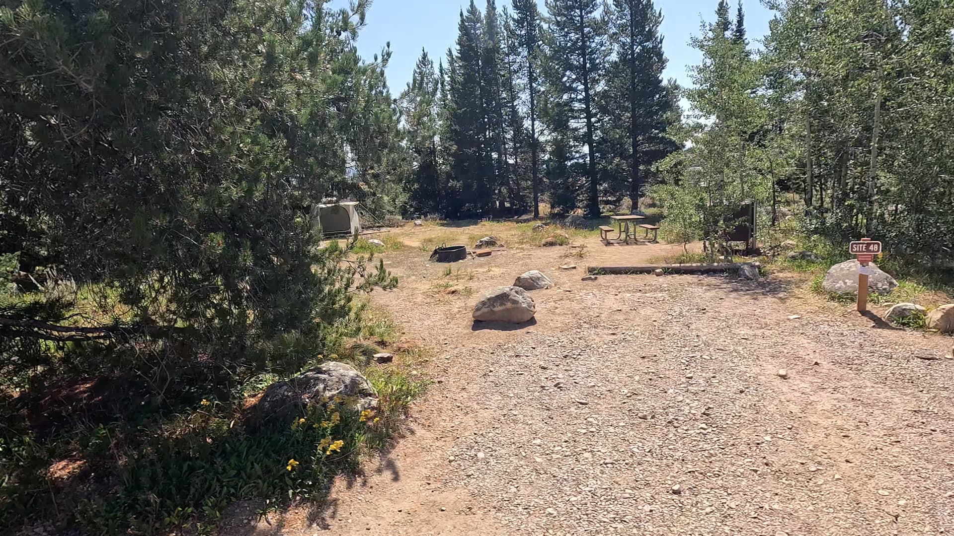 Site 48