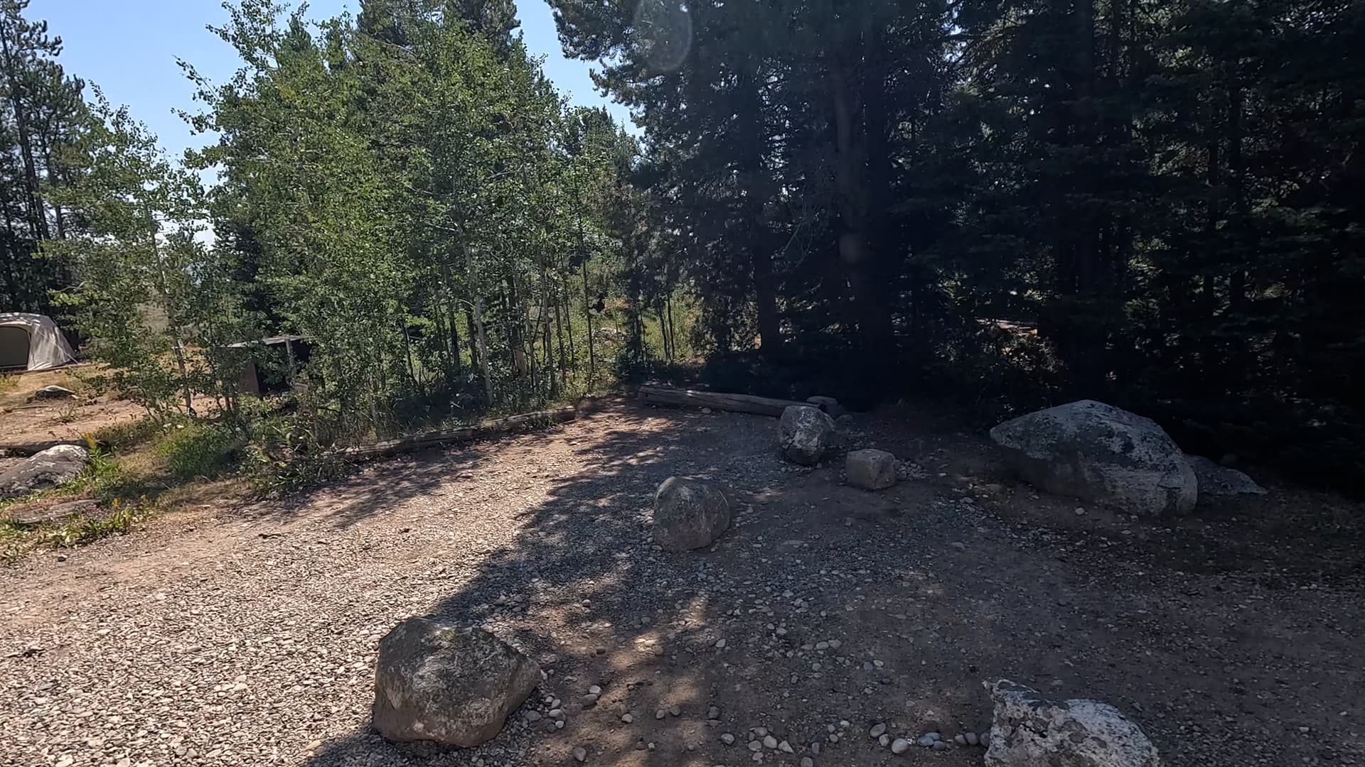 Site 49